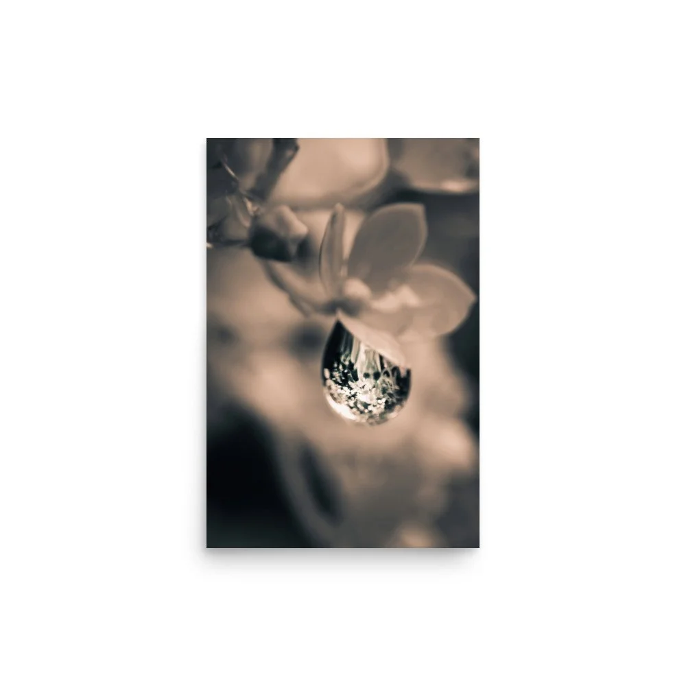 Suspended Bloom | Enhanced Matte Print
