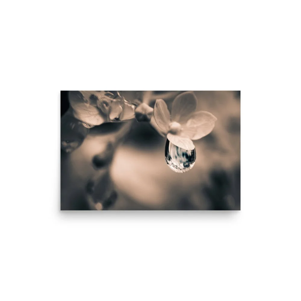 Small Refraction | Enhanced Matte Print