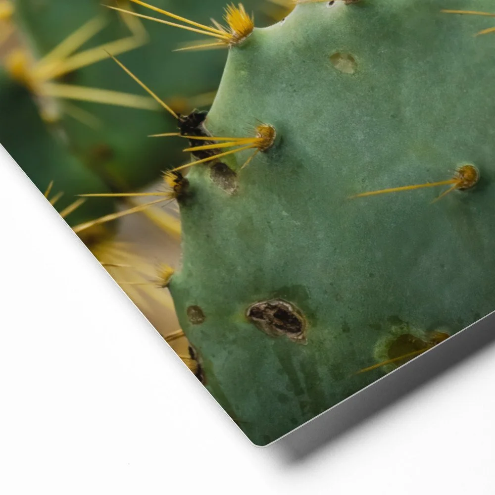 glossy-metal-print-(in)-white-8x10-product-details-6880e4411f550.jpg