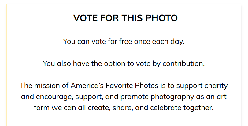 A webpage titled 'Vote for this photo' with instructions on how to vote for free or by contribution, emphasizing supporting charity and promoting photography.