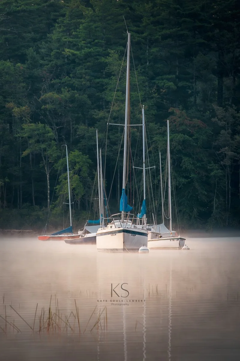 Anchored in Sea Smoke-3.jpg