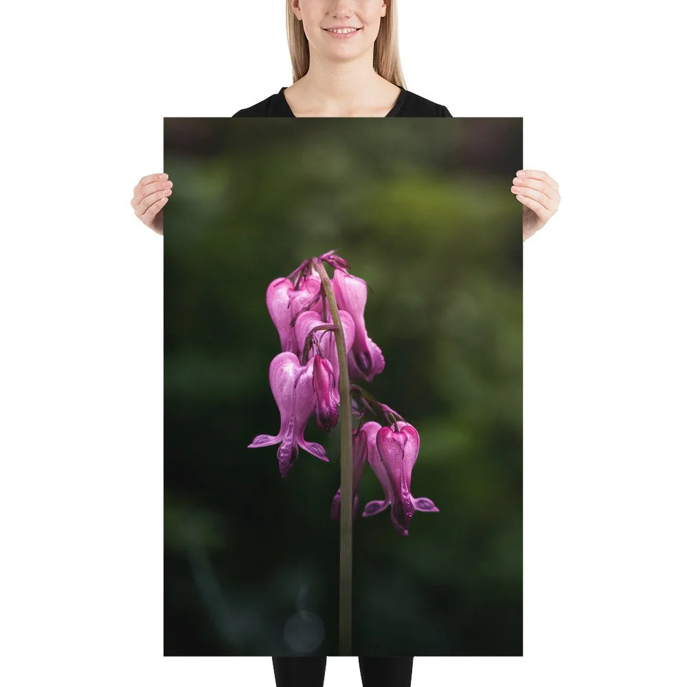 premium-luster-photo-paper-poster-(in)-24x36-person-688ba84063c03.jpg