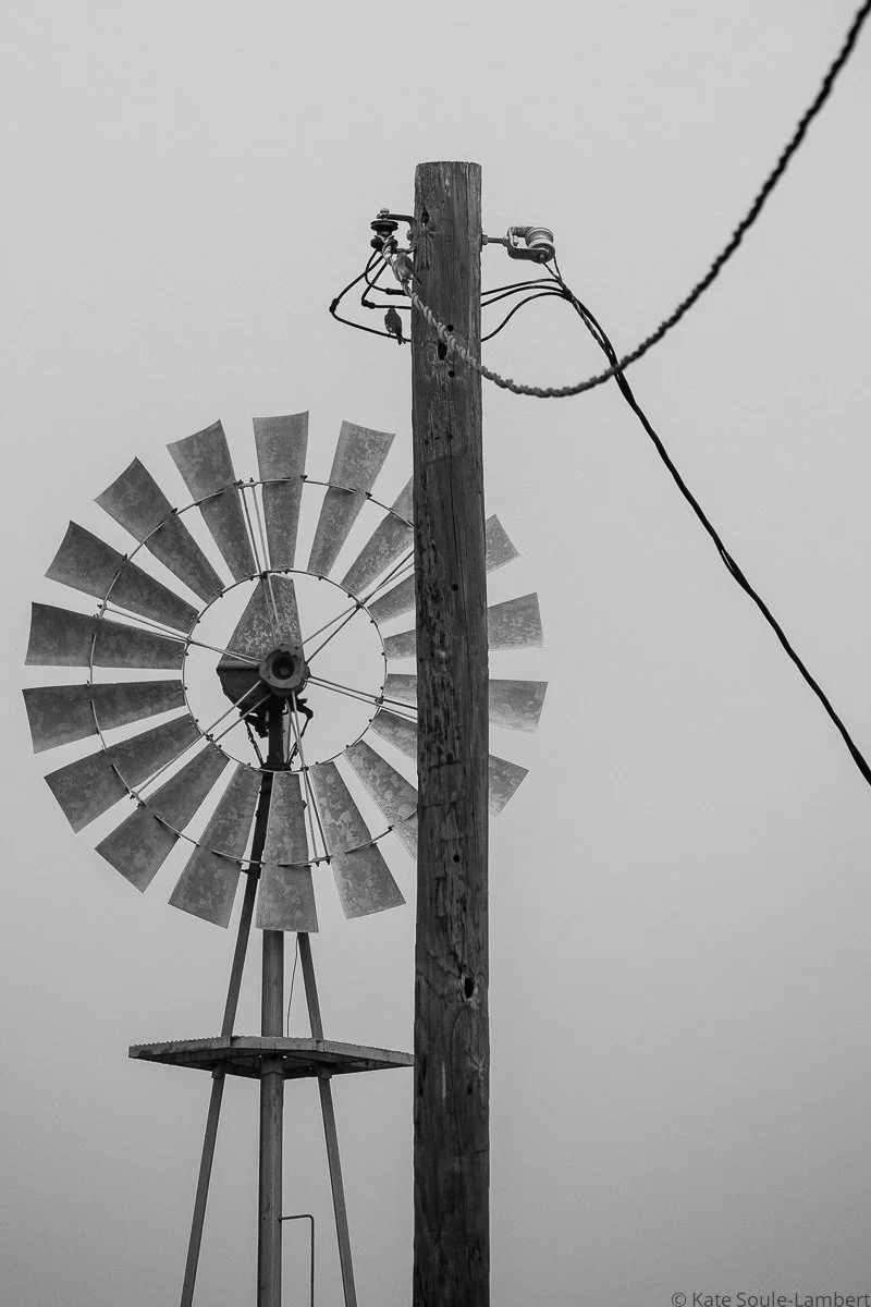 Lines of Industry