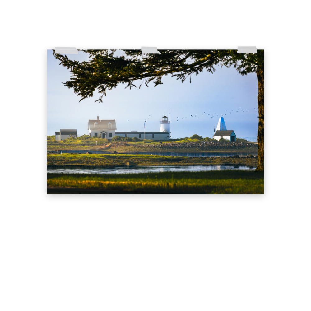 premium-luster-photo-paper-poster-(in)-24x36-front-3-6880dd2e58d49.png