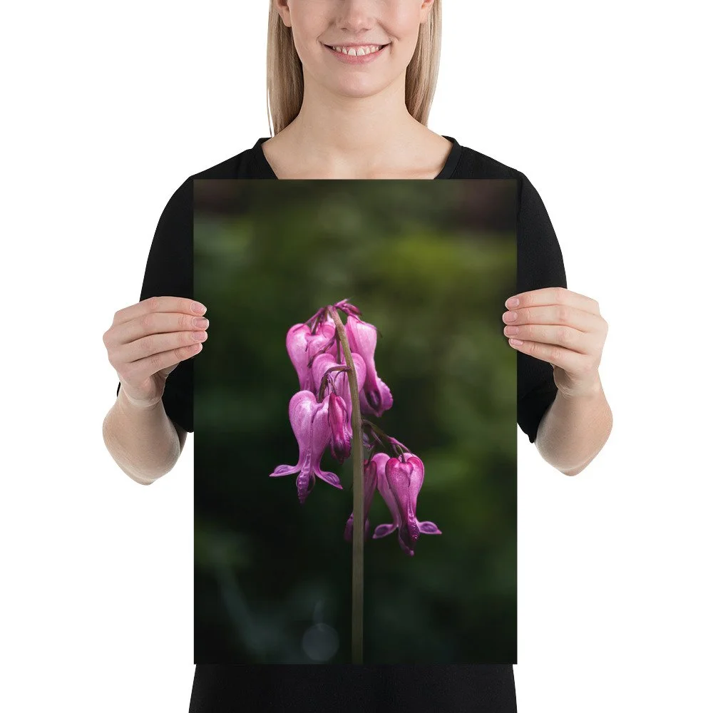 premium-luster-photo-paper-poster-(in)-12x18-person-688ba84063b1d.jpg