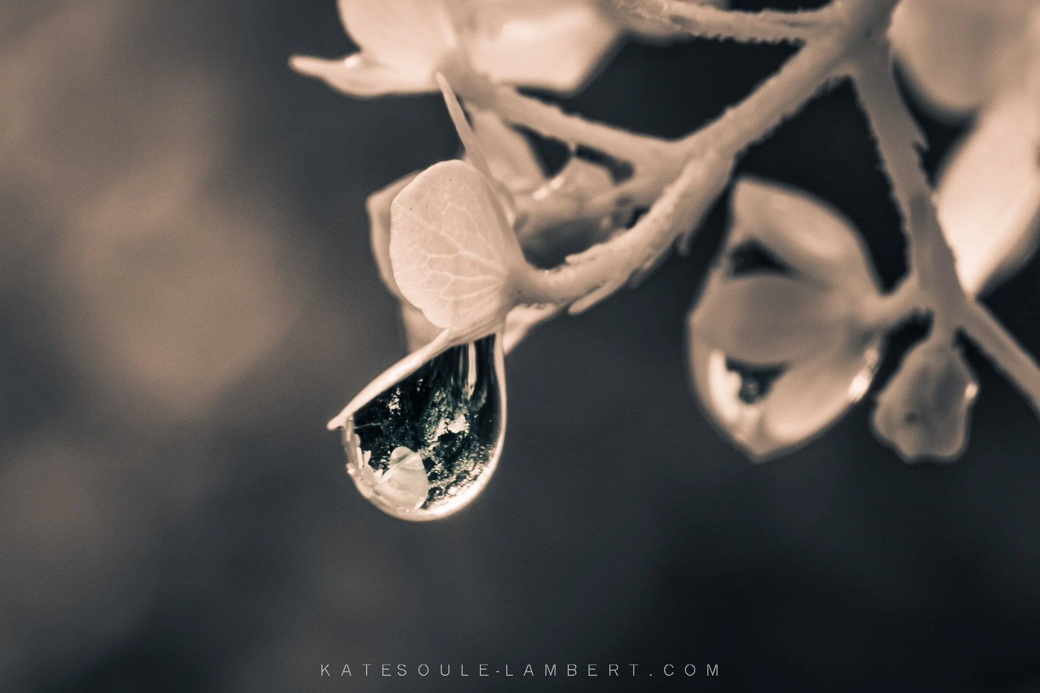 Worlds Within