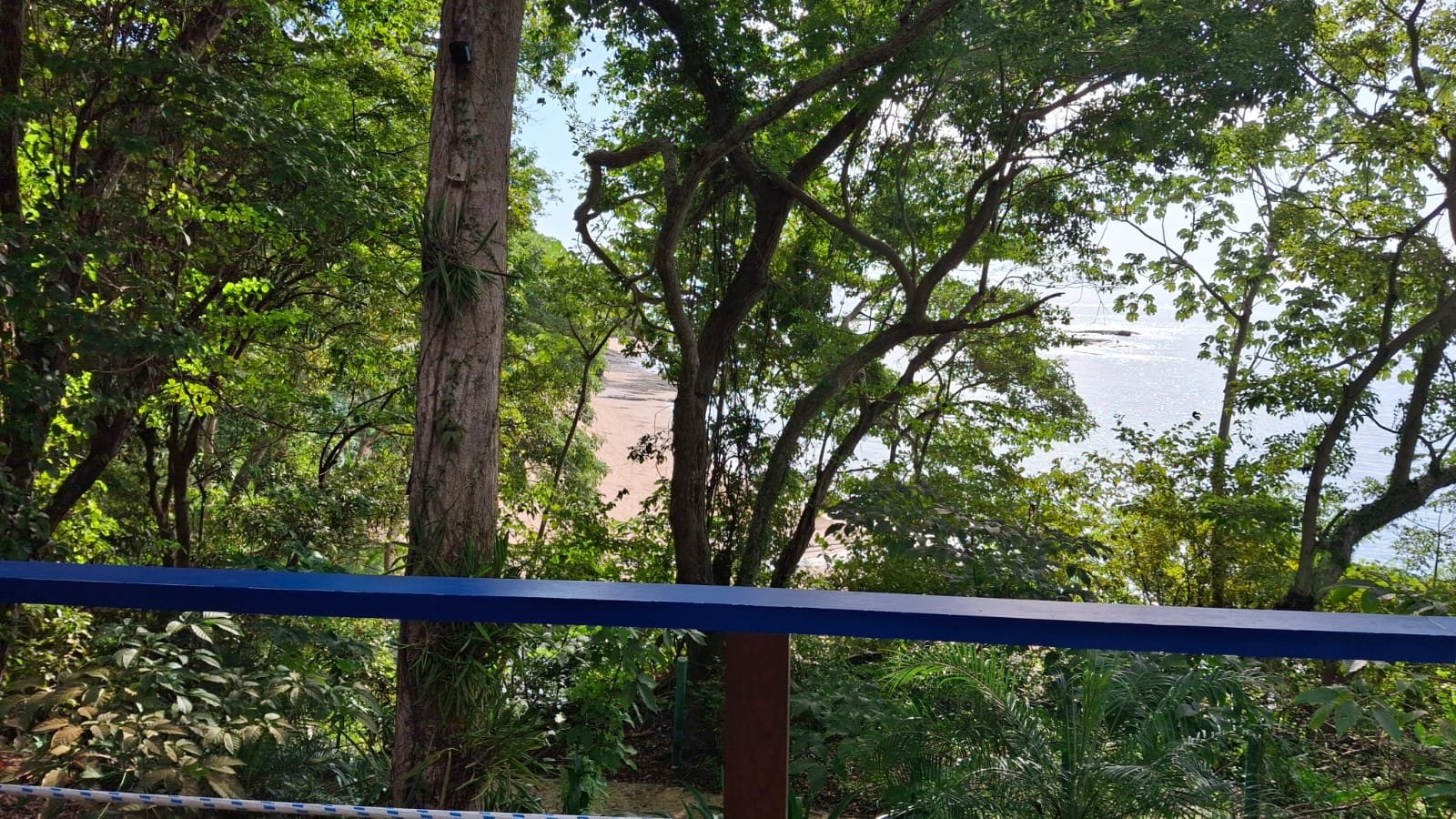 WhatsApp Image 2025-12-08 at 4.43.58 PM (2).jpeg