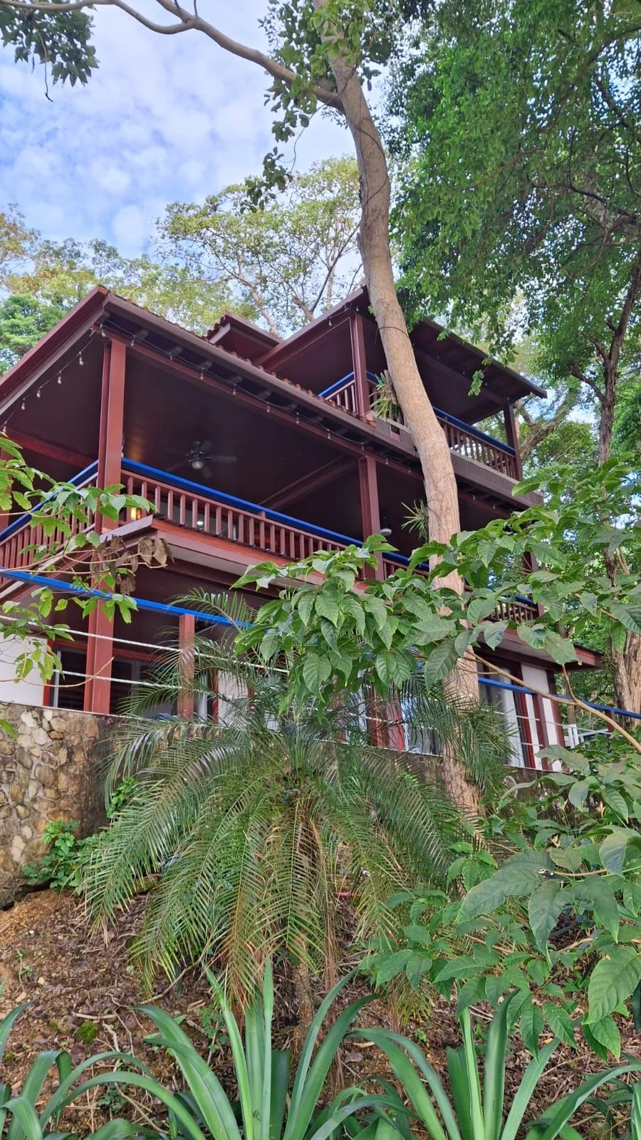 WhatsApp Image 2025-12-08 at 4.43.55 PM (1).jpeg