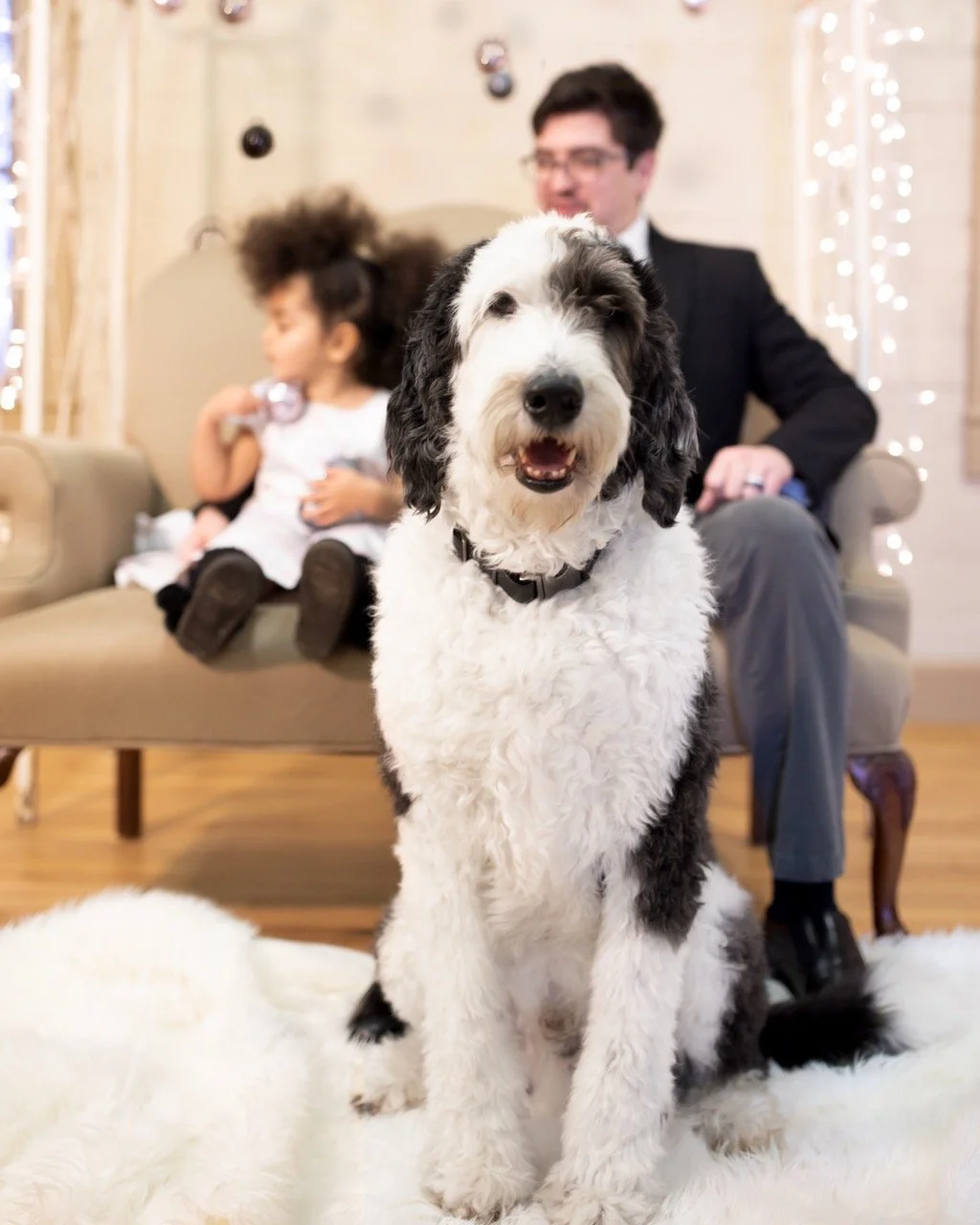 doggy at the bellflower.jpeg