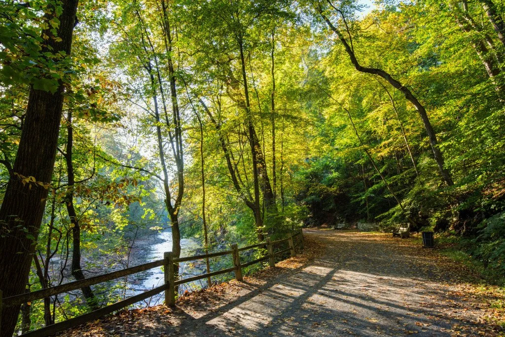 Walk &amp; Talk Therapy in Philadelphia: TheScience Behind Healing Outdoors