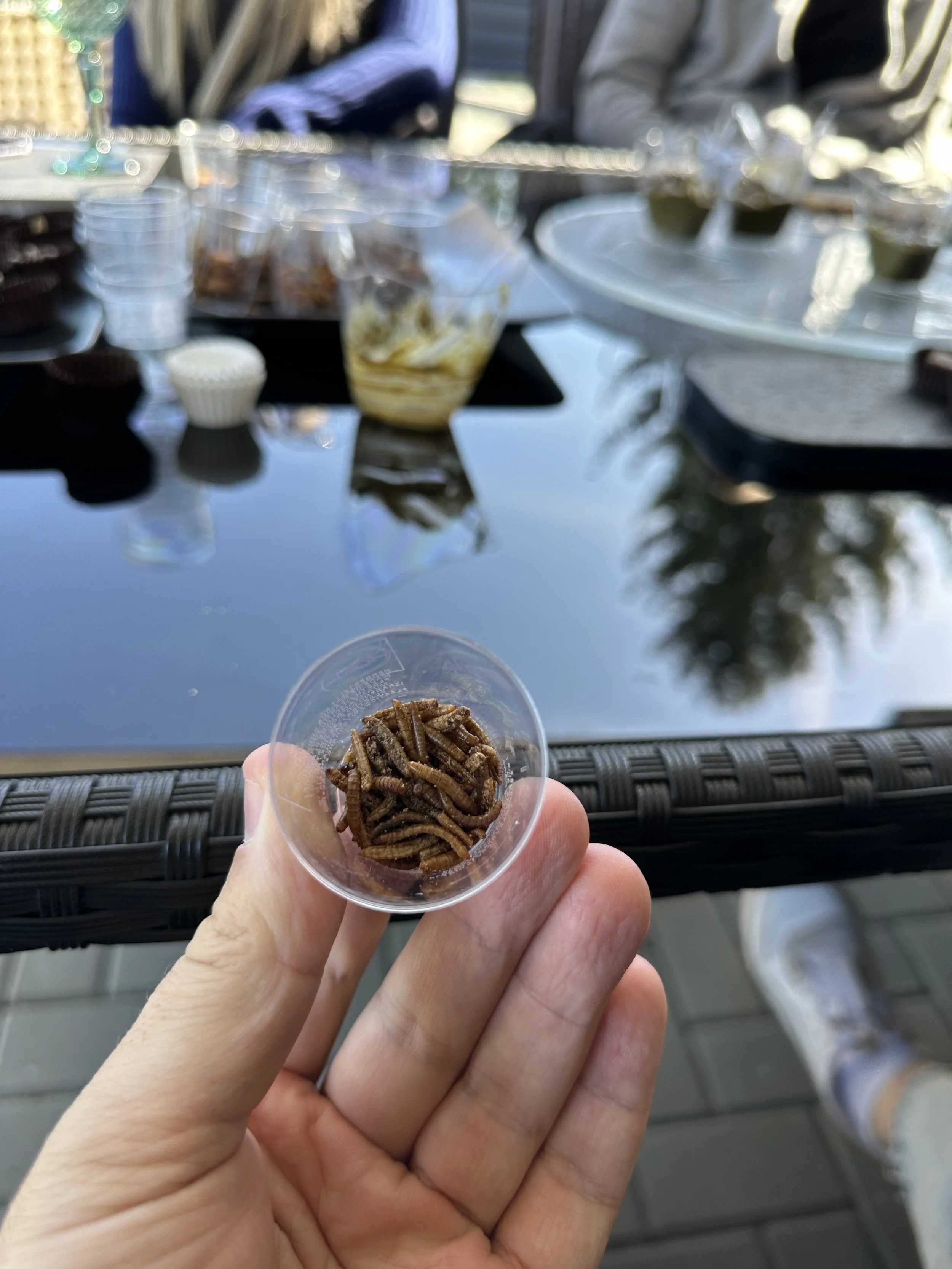 IMG_4719.jpeg