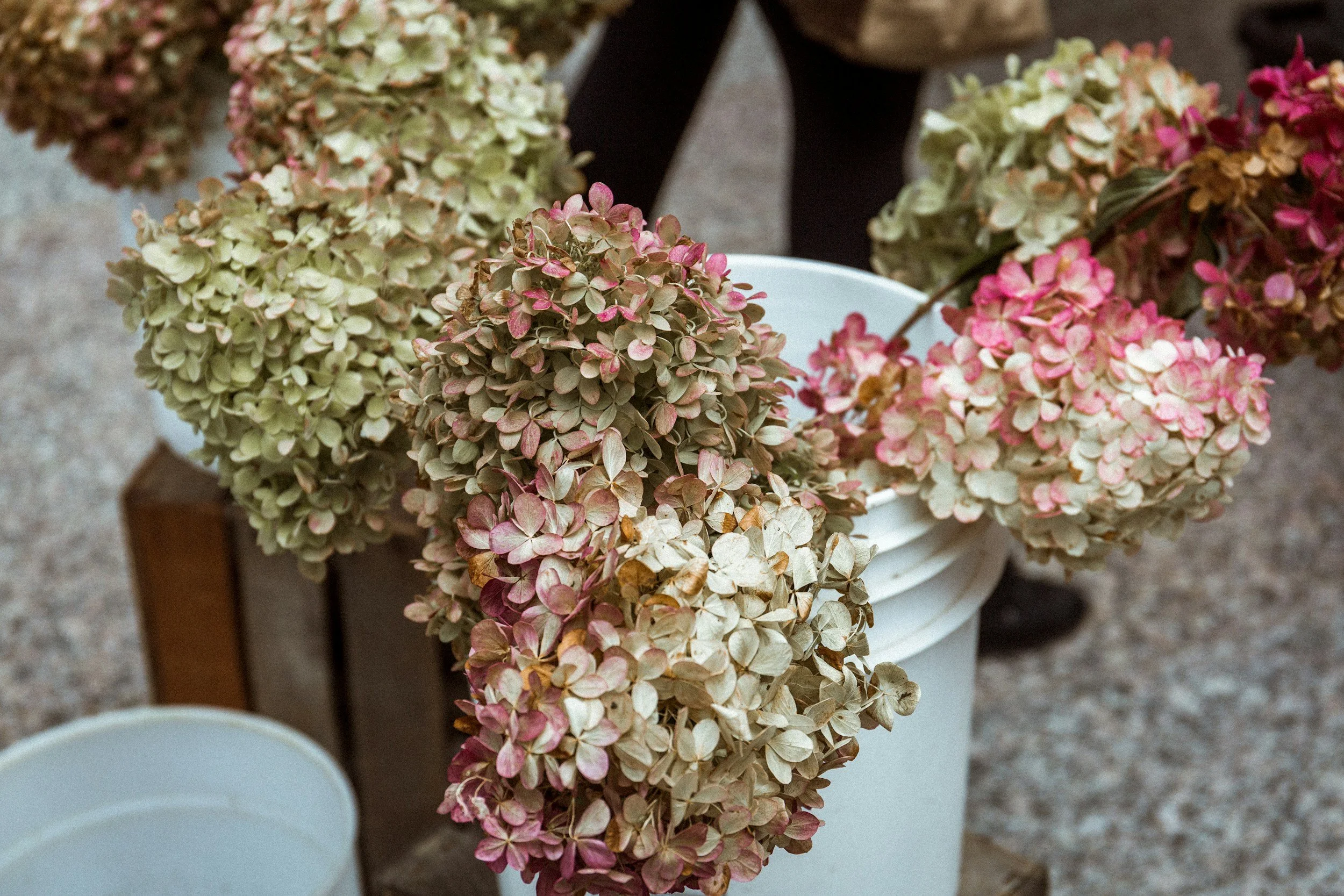 Fall Market