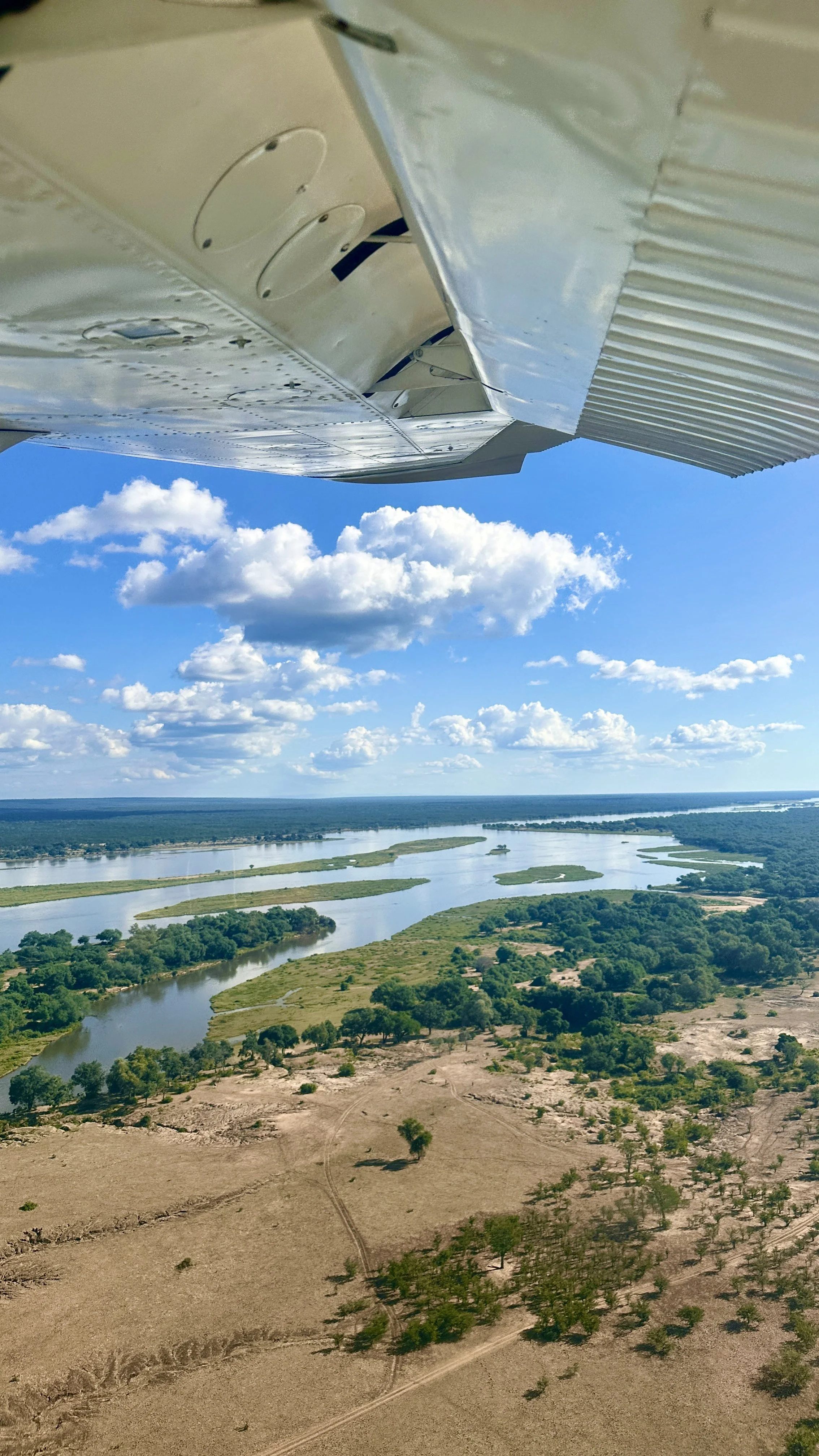Winterthorn forest and floodplain scenery near Anabezi Camp