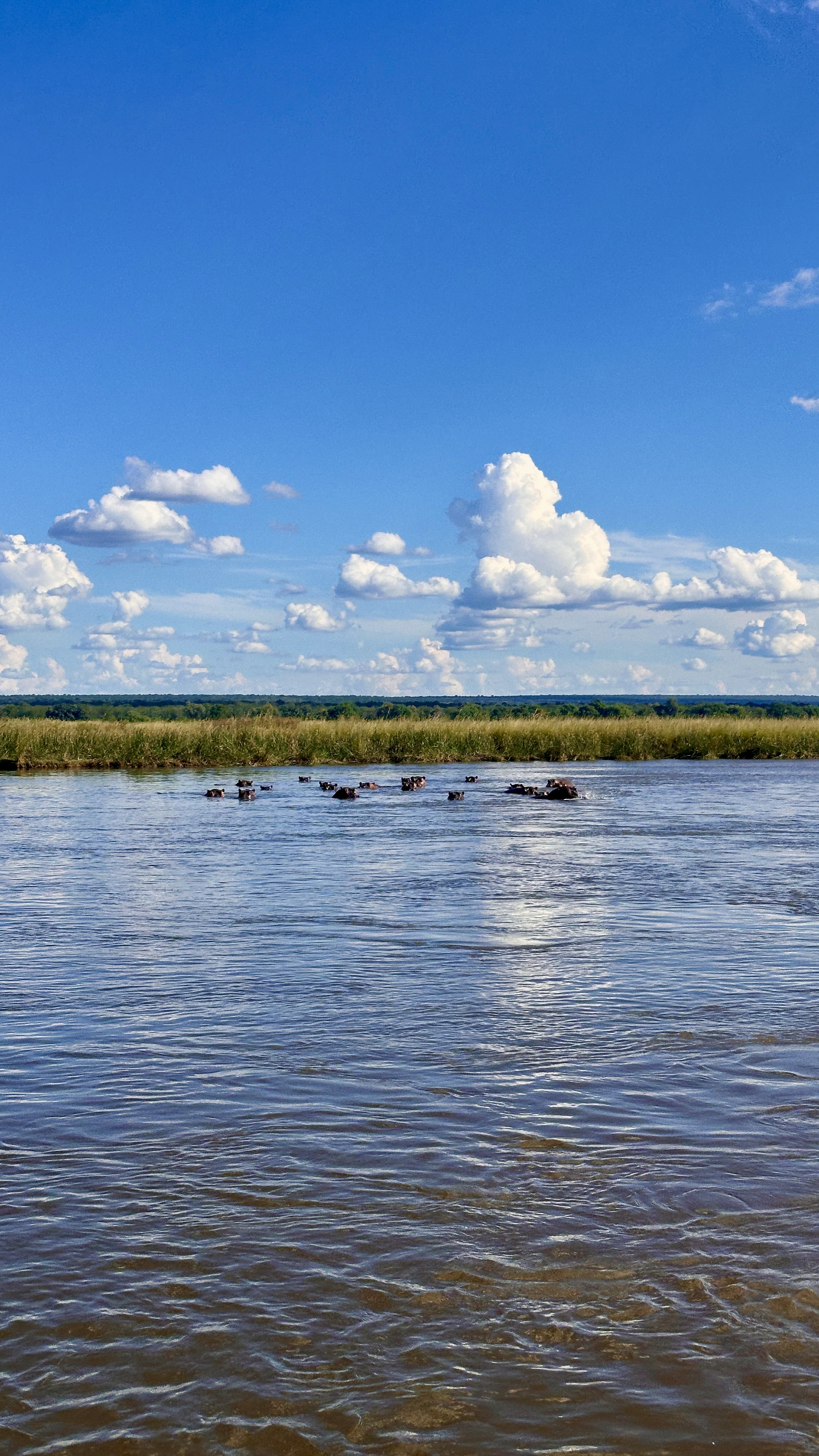 Zambezi River fishing activity near Anabezi Camp