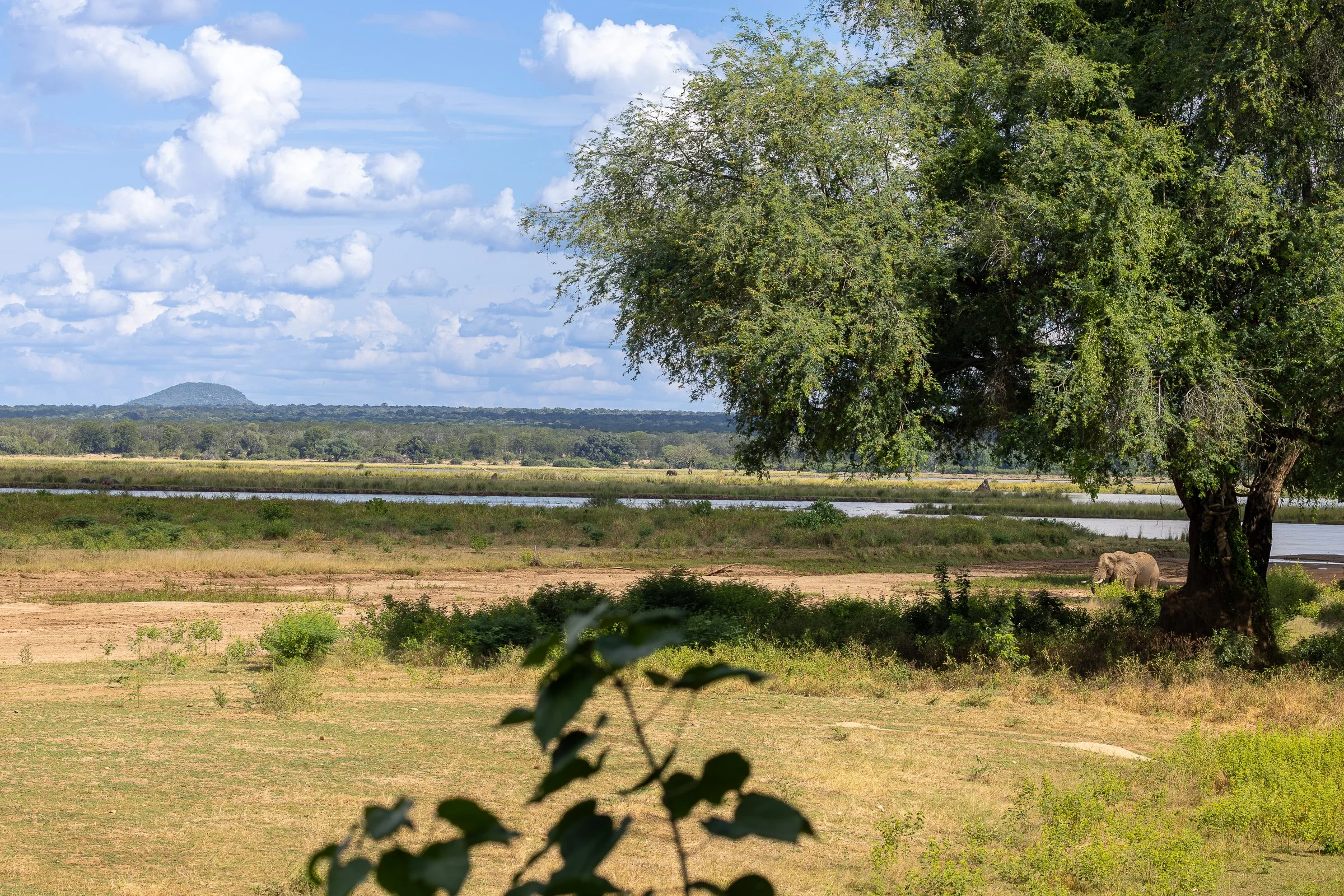 View across the Lower Zambezi from Anabezi Camp’s main deck
