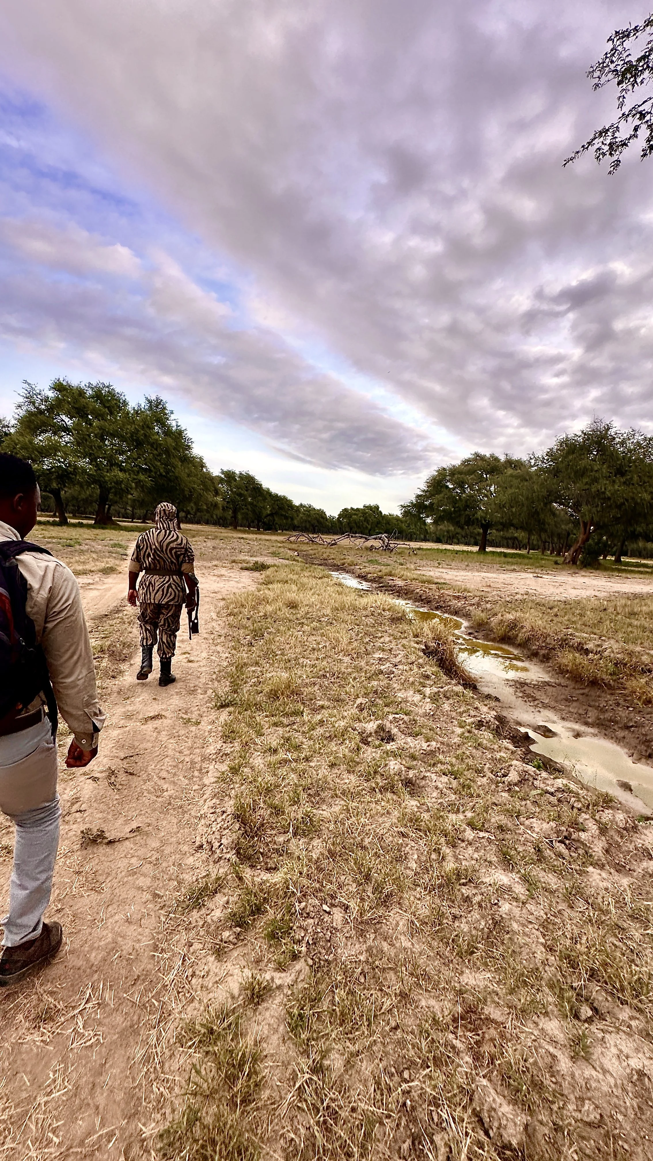 Zambia, known as the home of the walking Safari in Africa