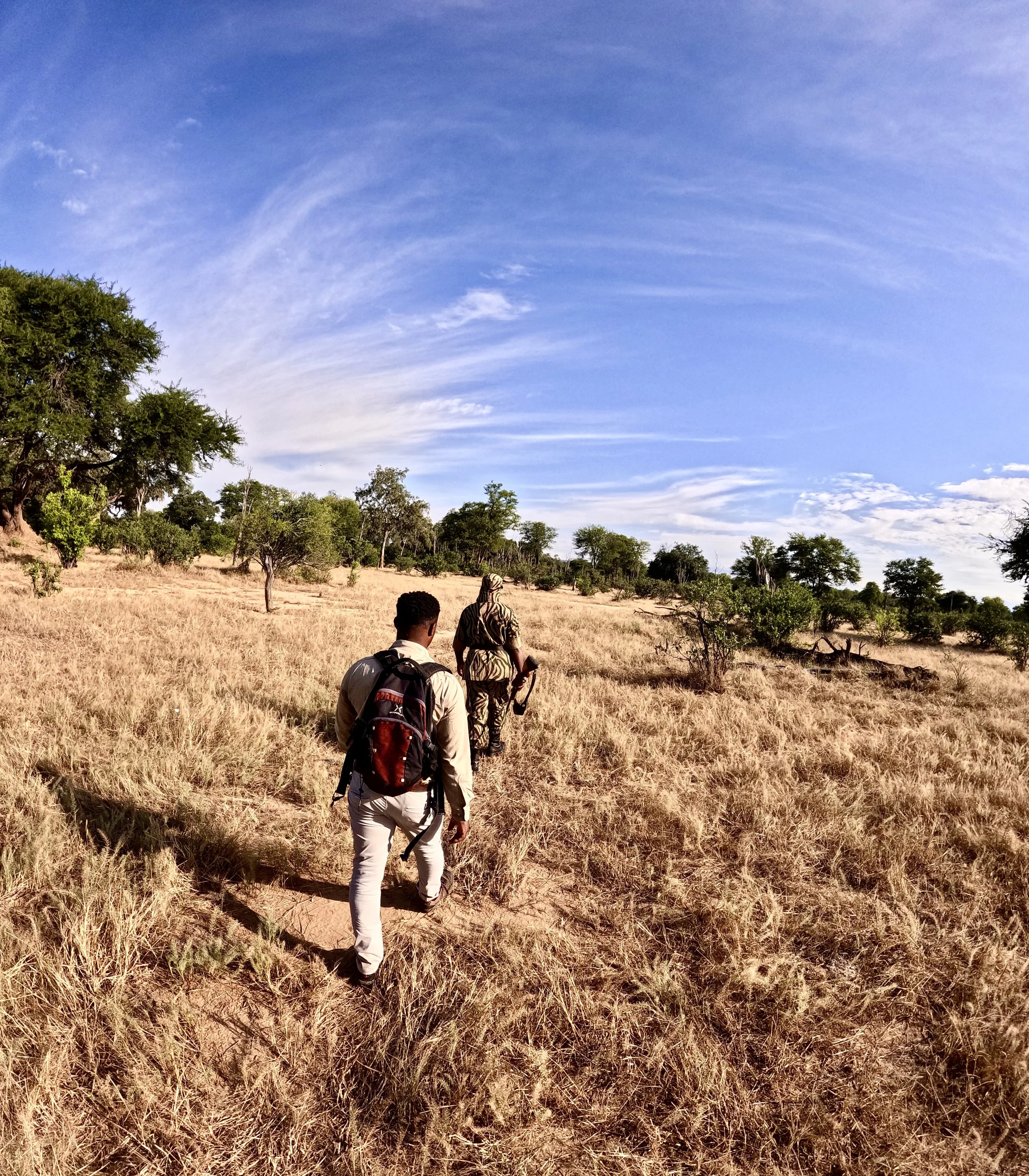 Walking Safari in Lower Zambezi national Park