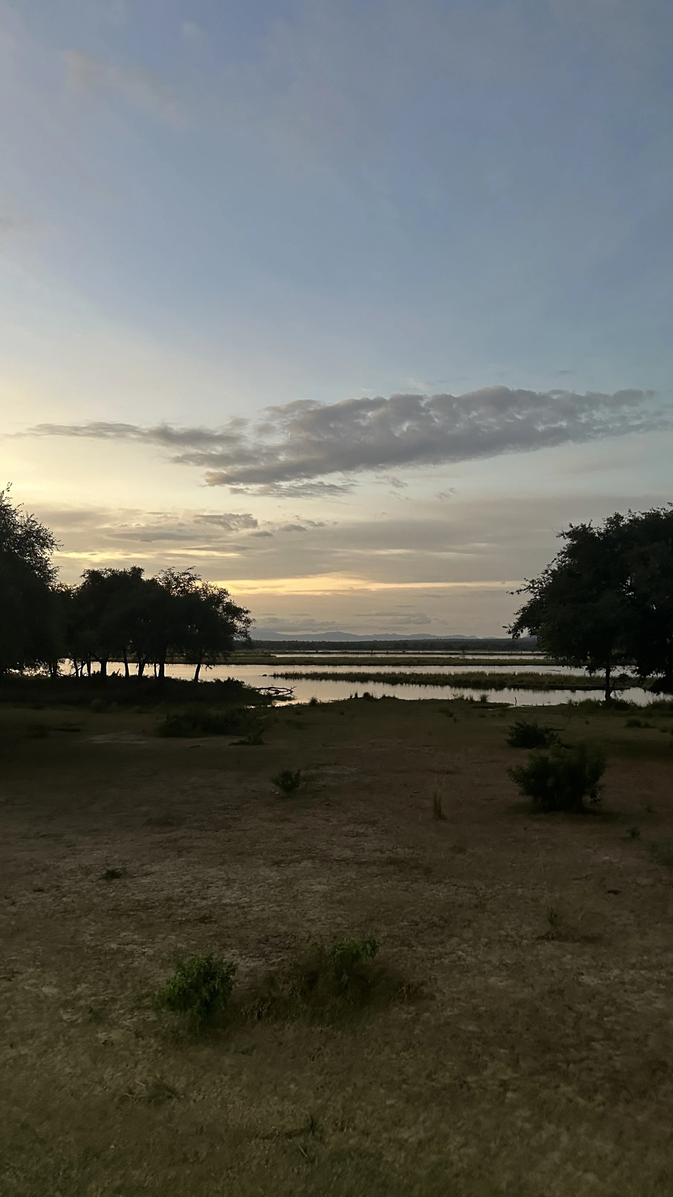 Early morning views on Safari from Anabezi camp