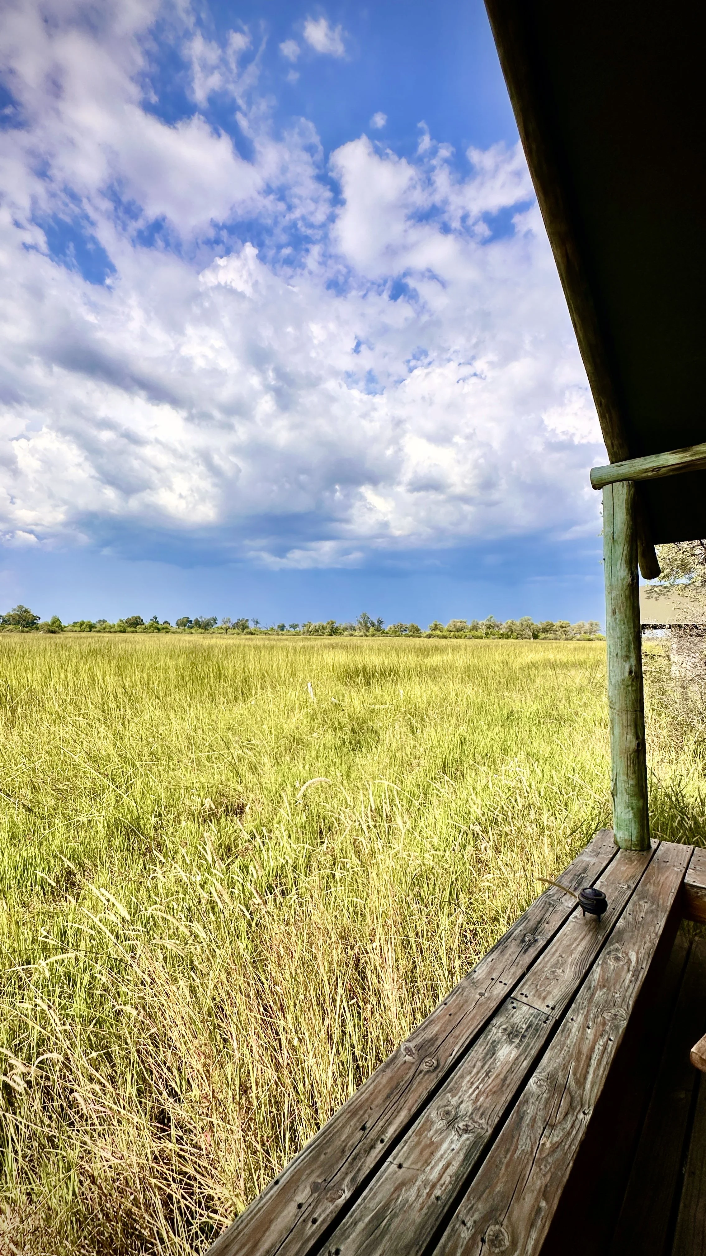 Views of the flood plains from the rooms in Little Sable