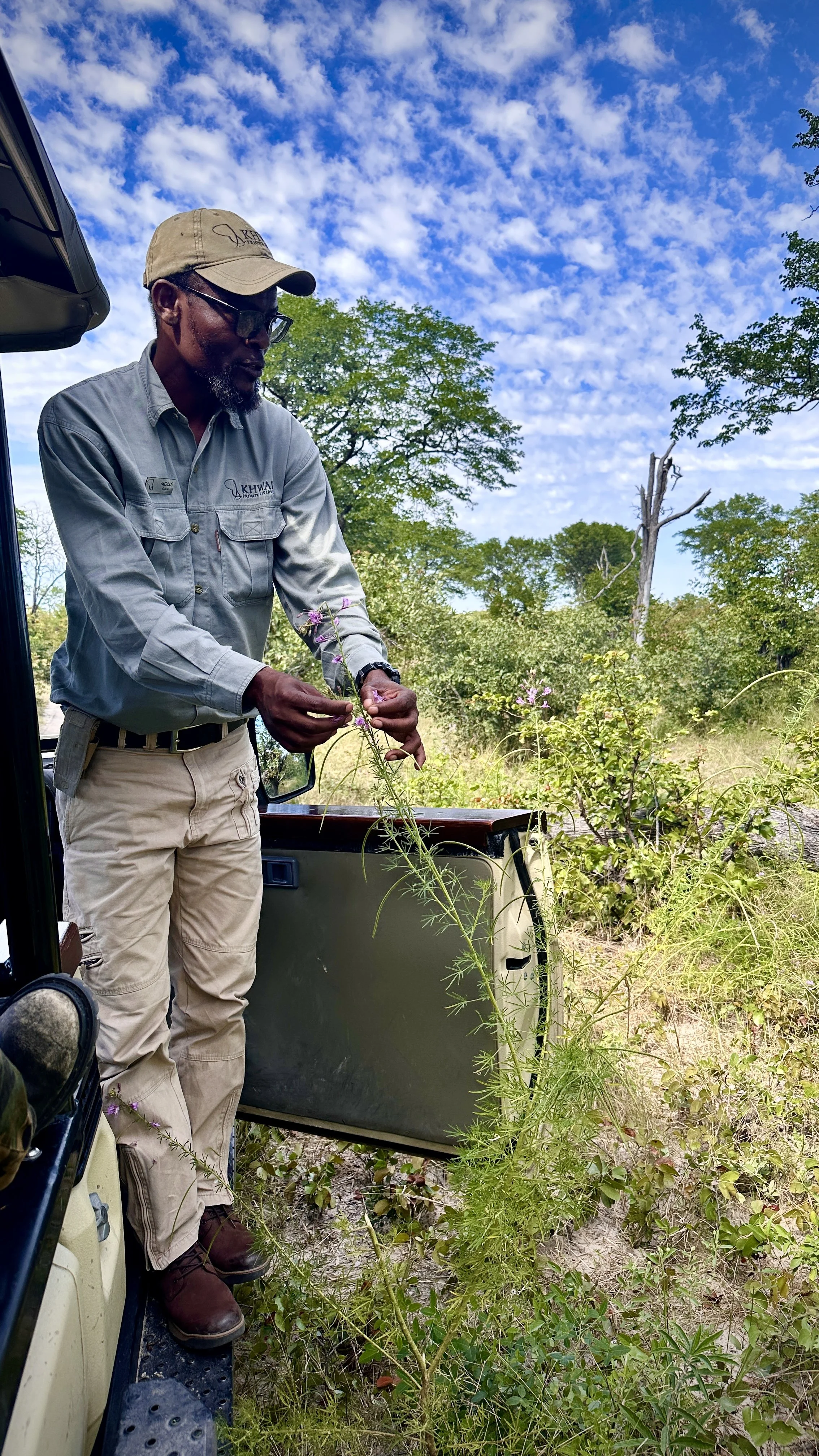 Our guide showing us how elephants feed