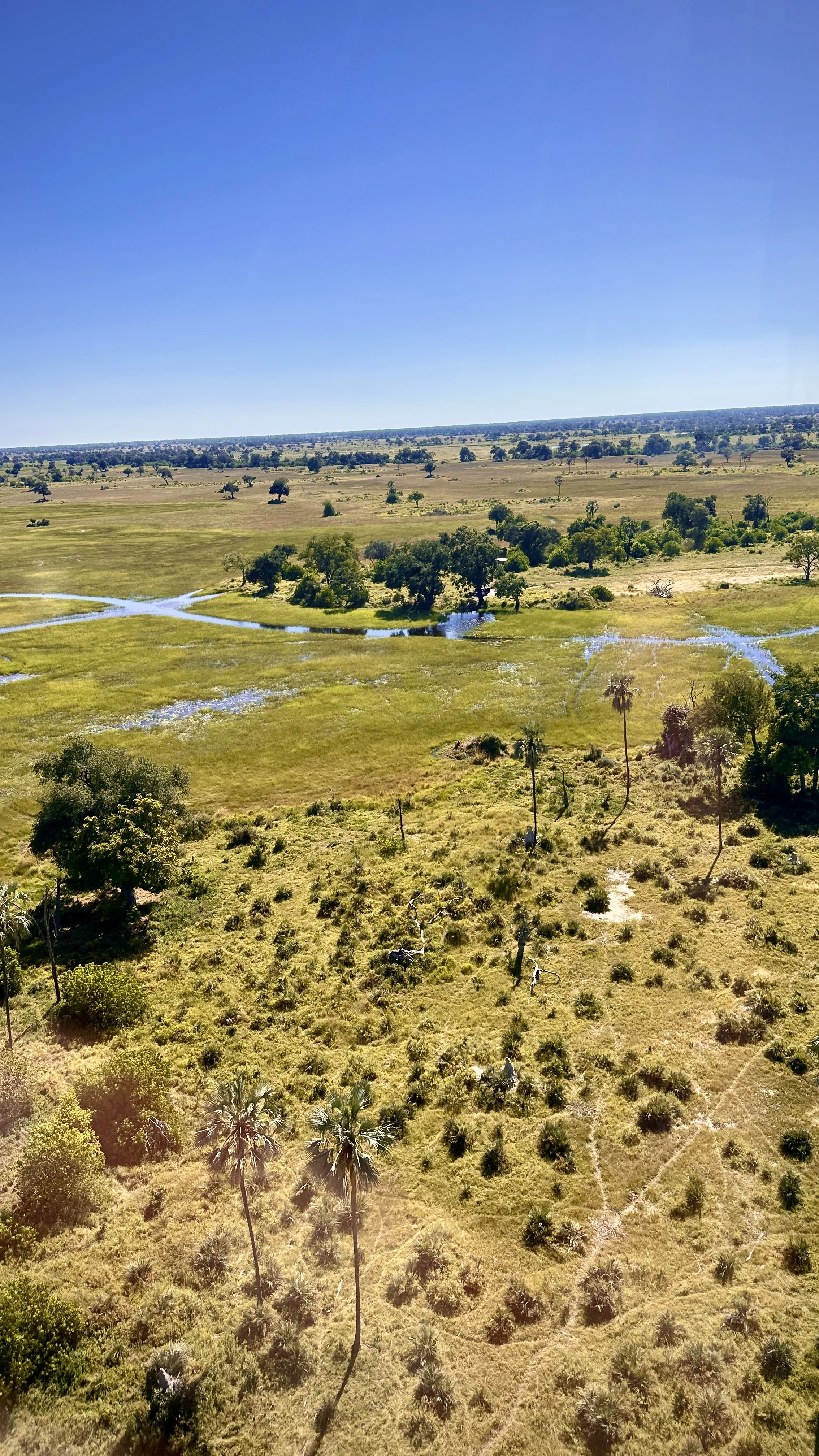 Channels and palm islands of the Okavango Delta seen from a helicopter