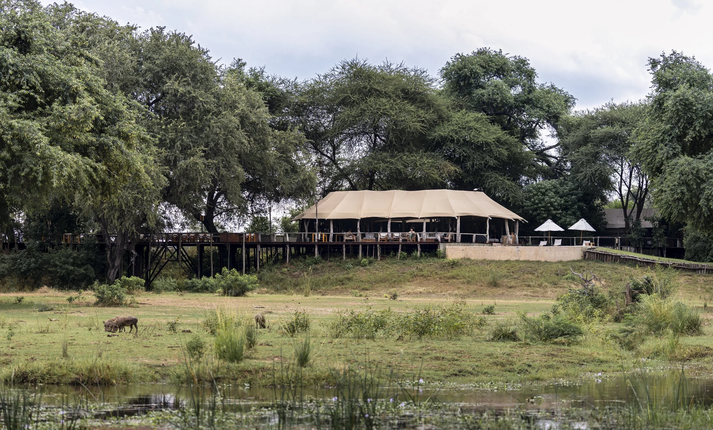 Anabezi Camp in Lower Zambezi National Park, Zambia