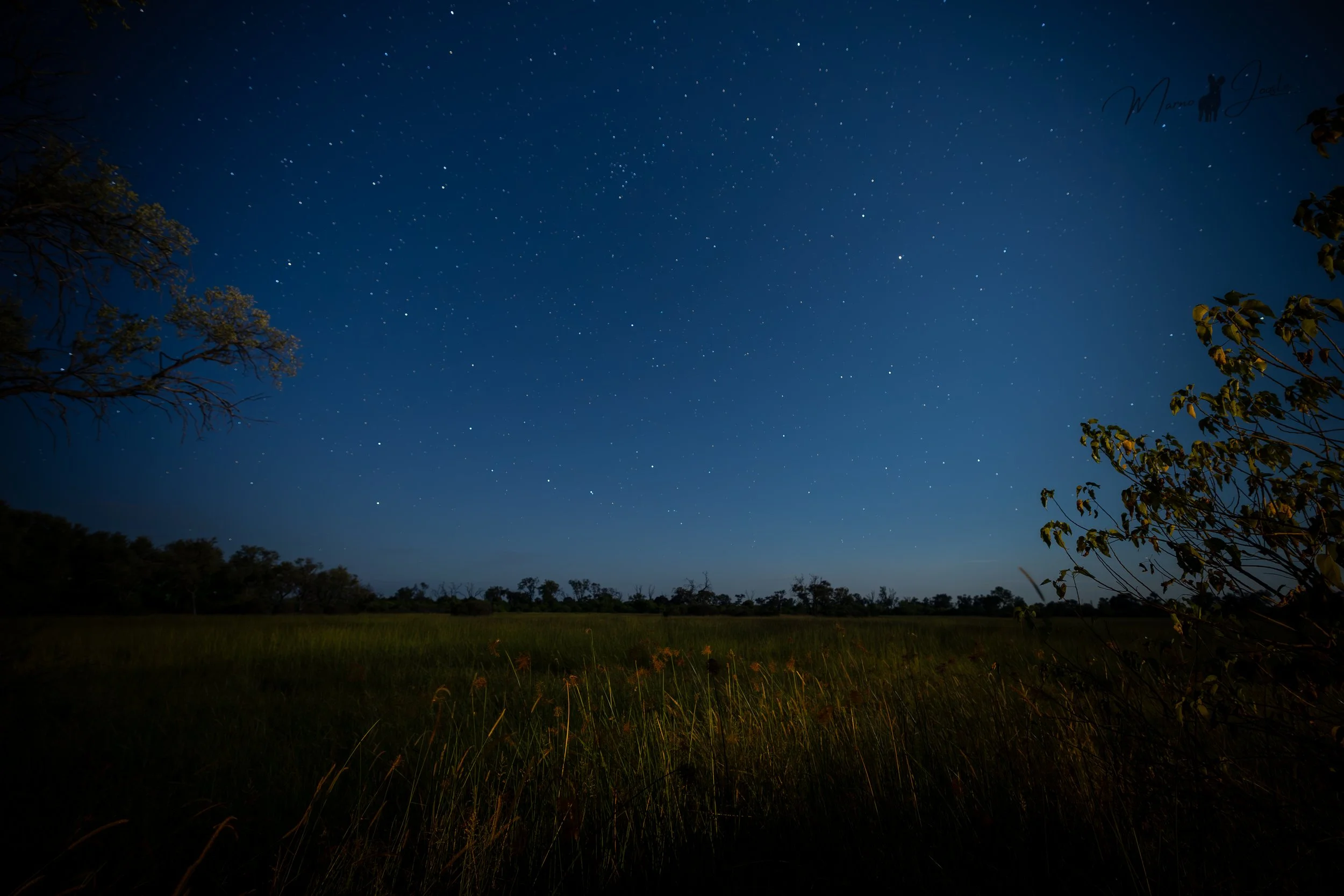 Little Sable camp in Khwai Private Reserve, Botswana, under the night sky