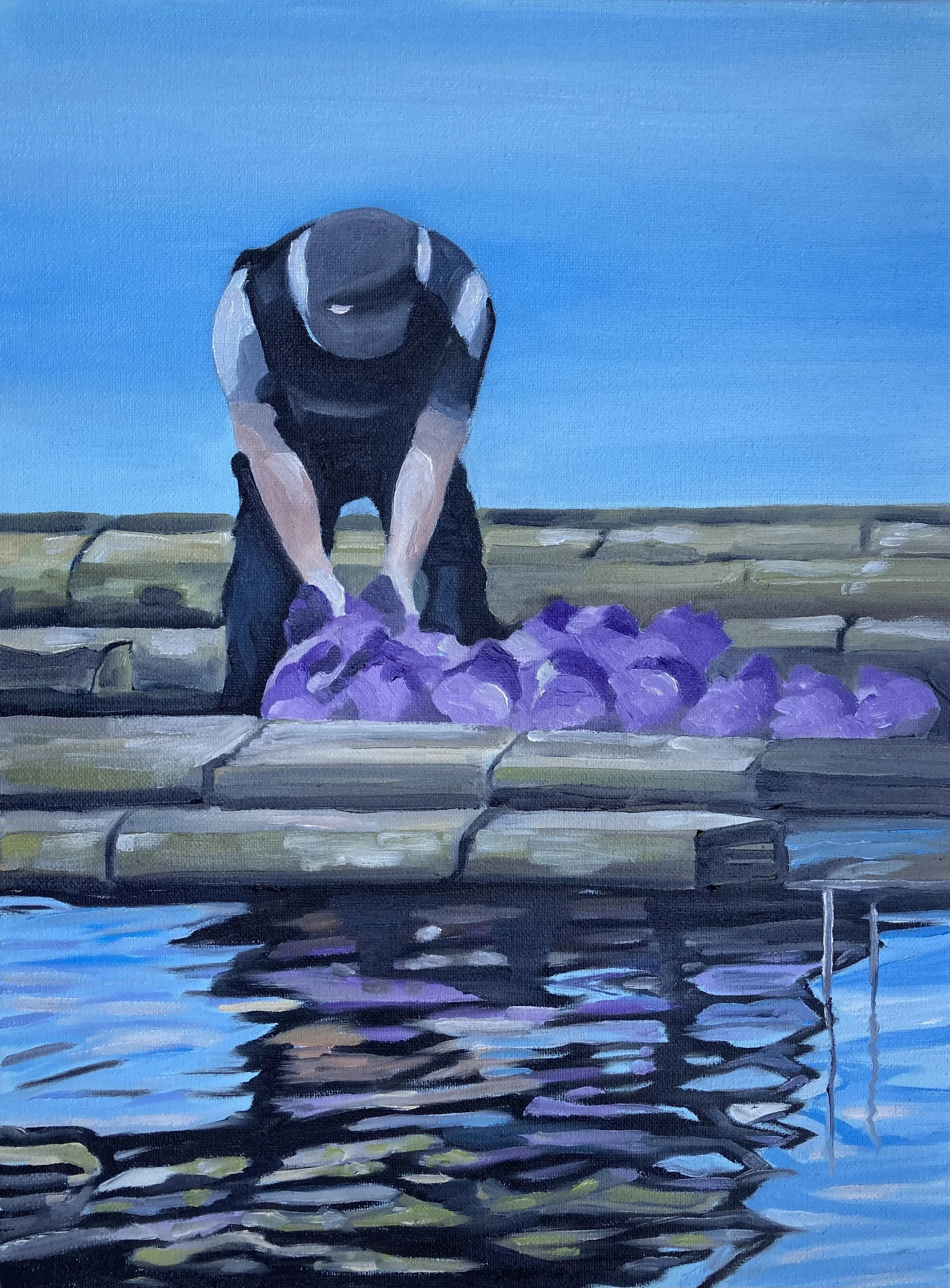 Paul’s bounty in purple, 12”x !6”, oil on canvas, 2026.