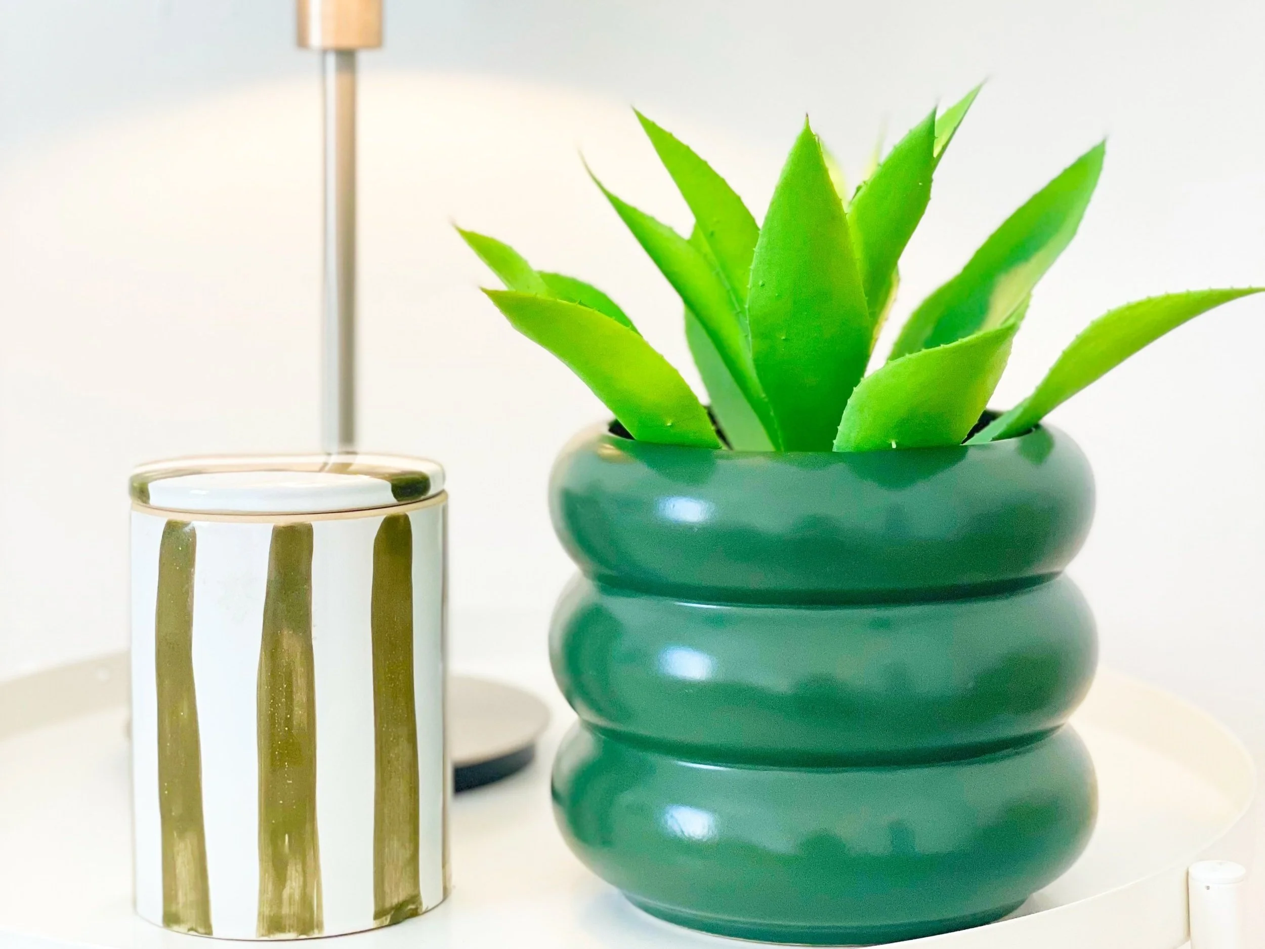 Pianta grassa in vaso verde su un tavolino, accanto a un contenitore a strisce verdi e bianche, con una lampada sullo sfondo.