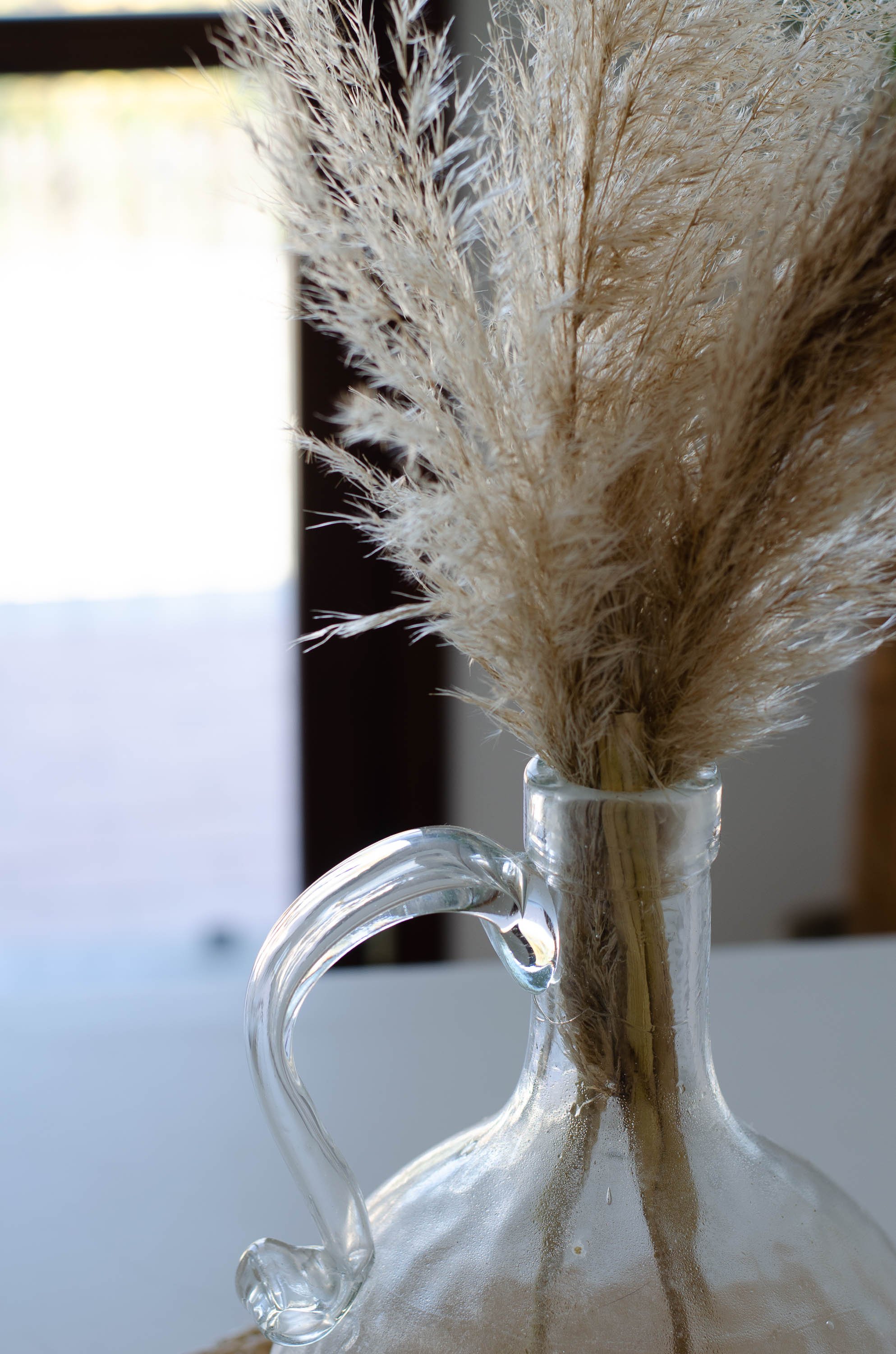 SANGIO 3 Melloni-22.jpg