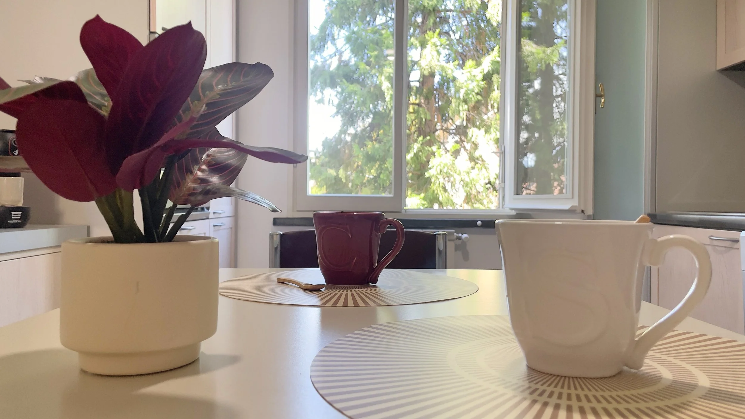 Tavolo con pianta in vaso, tazza rossa e tazza bianca vicino a finestra aperta che mostra alberi esterni.