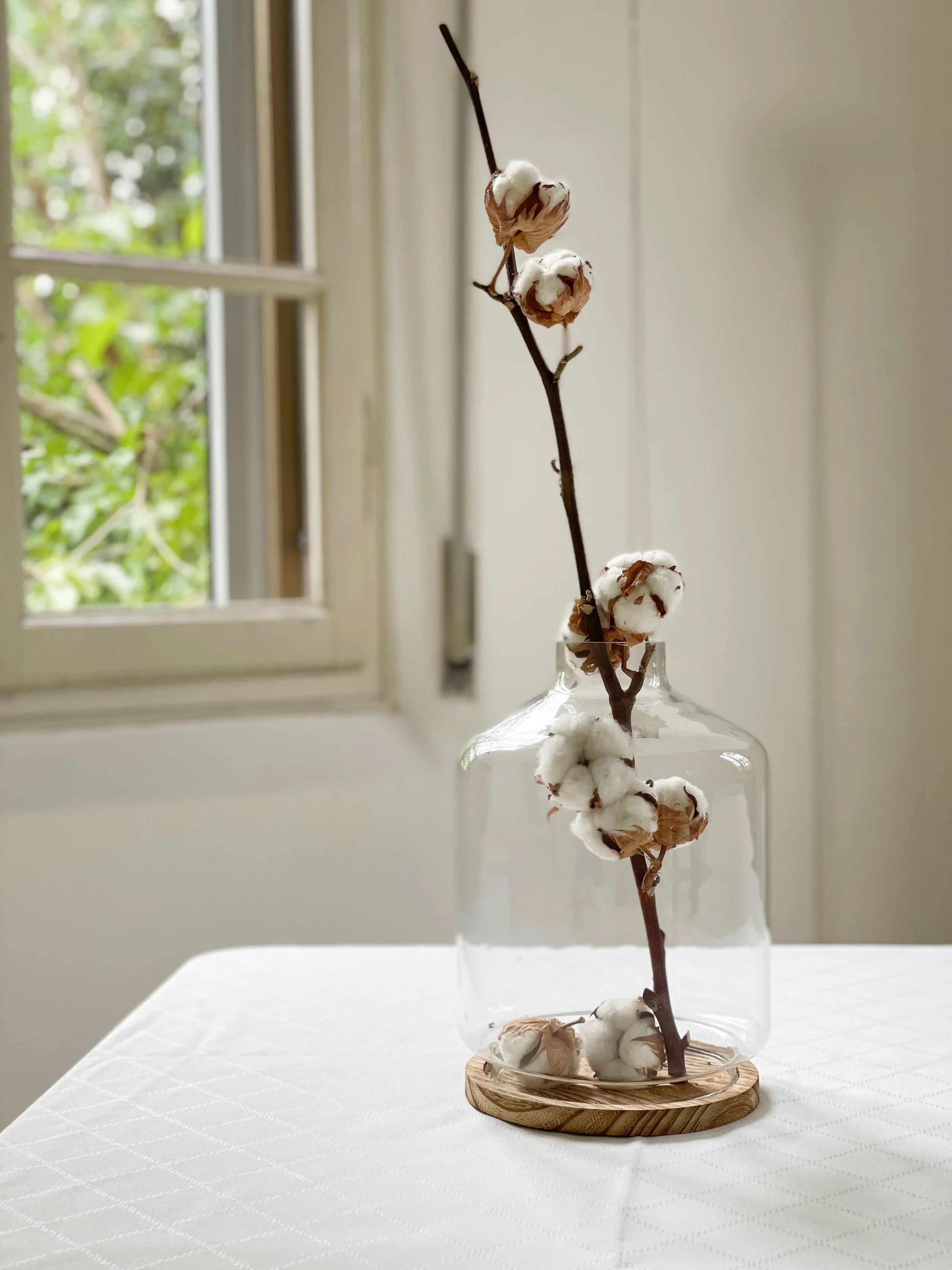 Ramo di cotone in vaso di vetro su tavolo bianco, con finestra sullo sfondo.
