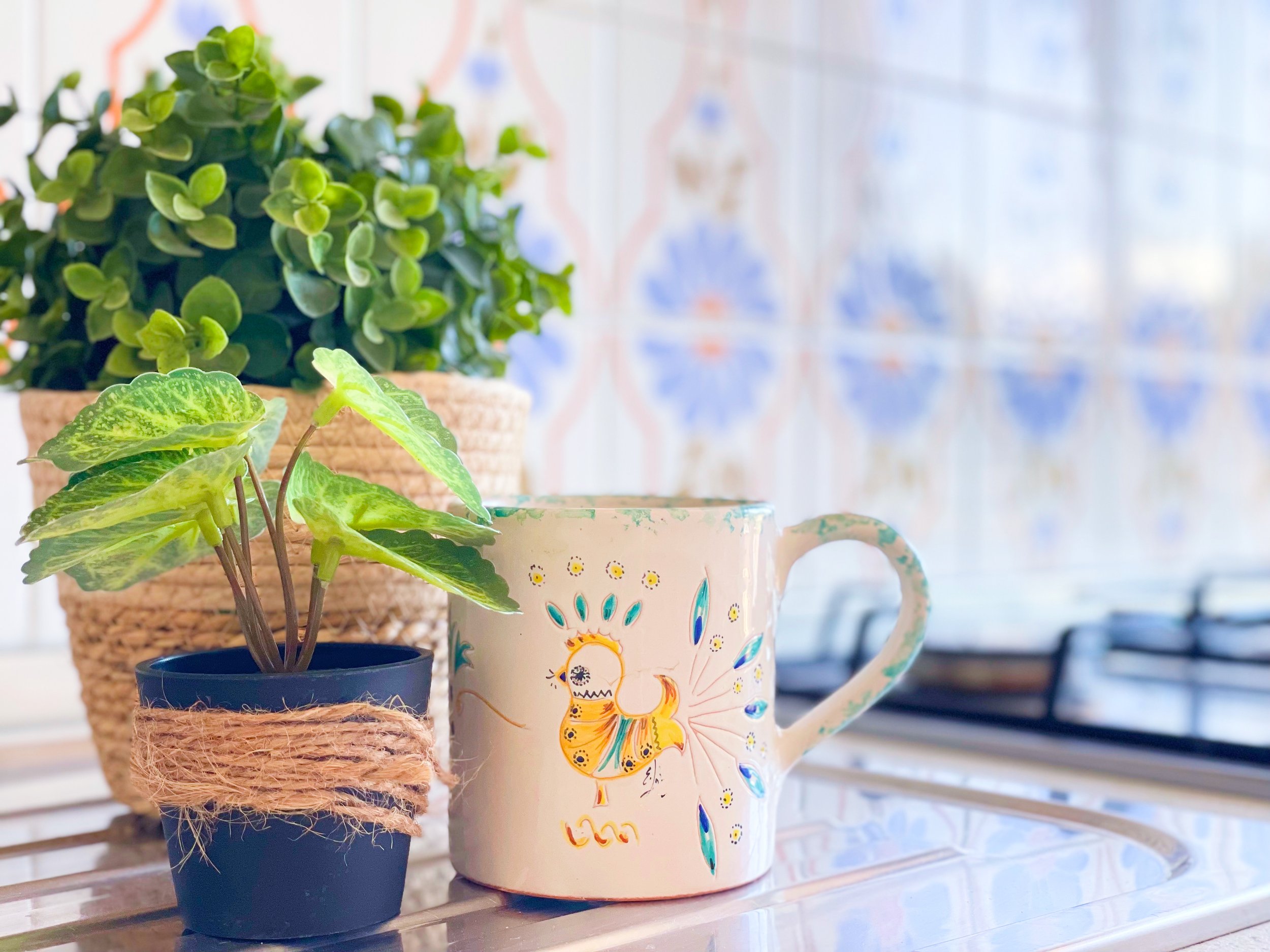 Pianta in vaso di plastica nero accanto a tazza decorata su piano cucina, sfondo con piastrelle colorate.
