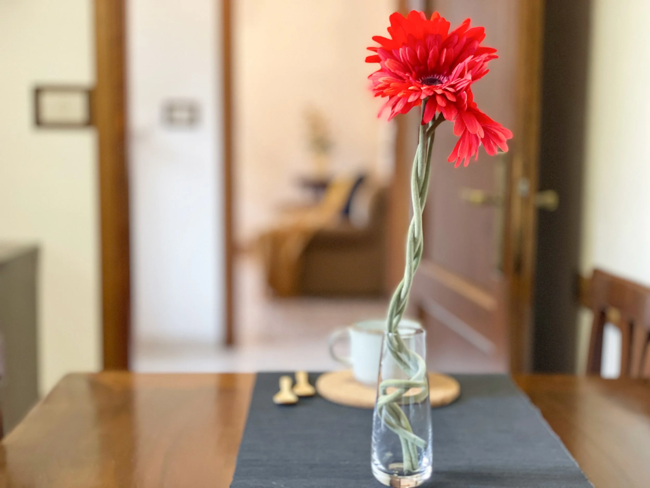 Fiore rosso in un vaso di vetro su un tavolo di legno, con sfondo sfocato di un interno.