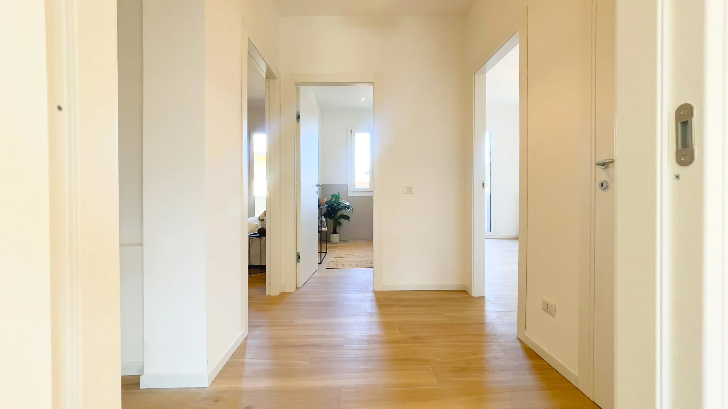 Corridoio di un appartamento con pavimento in legno e pareti bianche, porte aperte che conducono a stanze luminose, e una pianta in un vaso nel fondo.