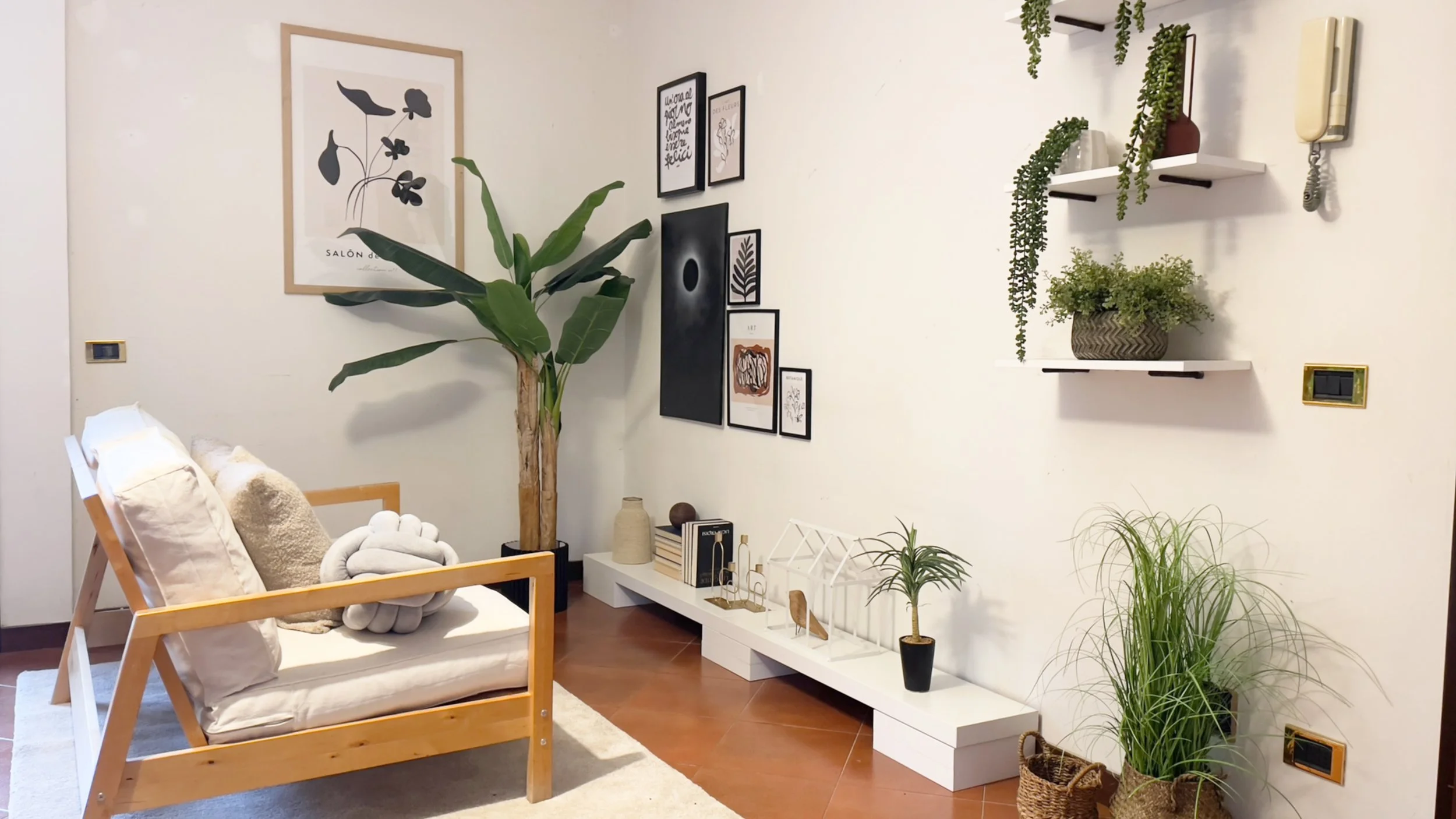 Soggiorno moderno con divano in legno e cuscini bianchi, pianta grande in angolo, mensole con piante, arte alle pareti e decorazioni su una mensola bassa.