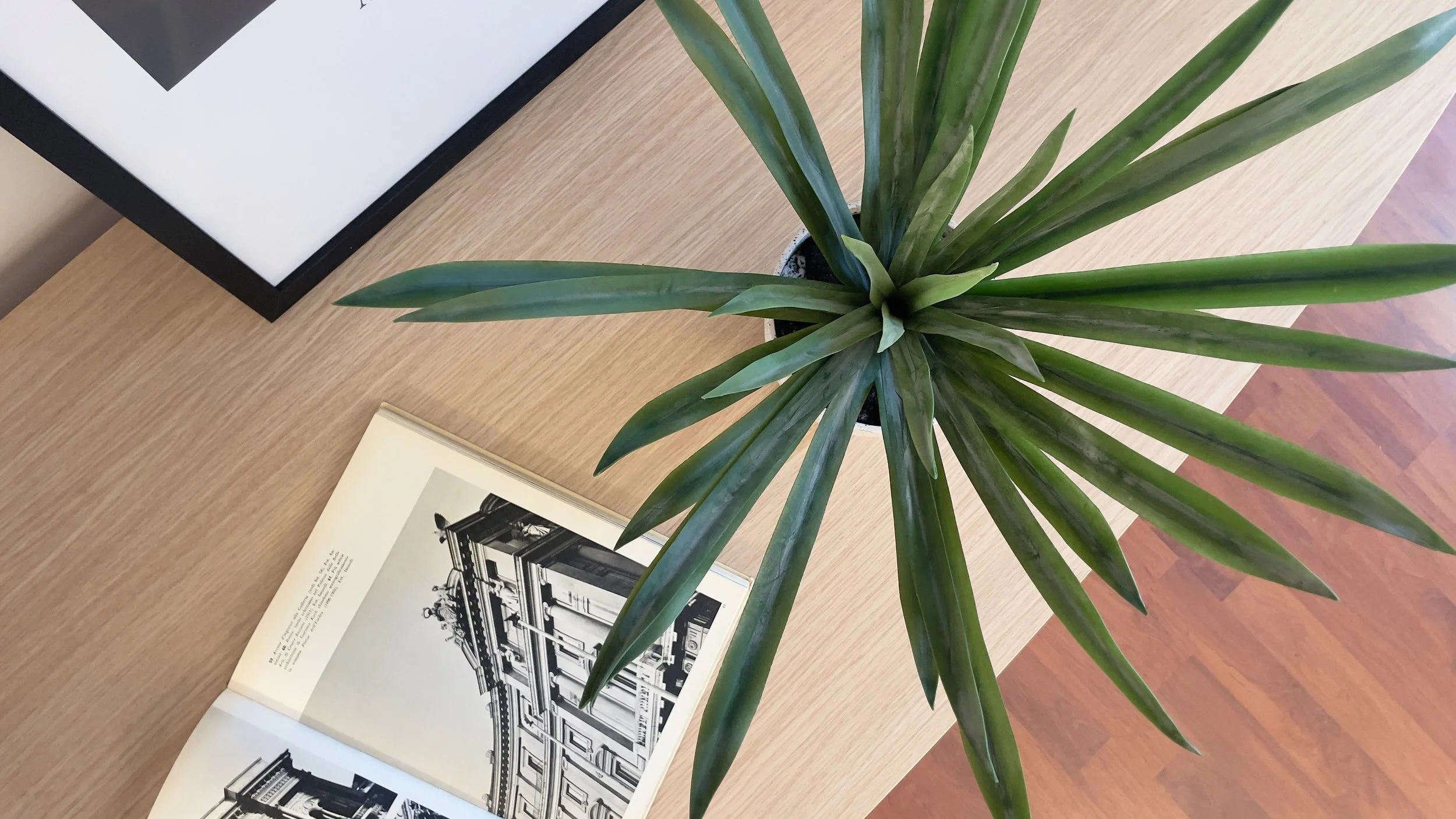 Pianta verde su tavolo di legno con libro aperto e cornice.