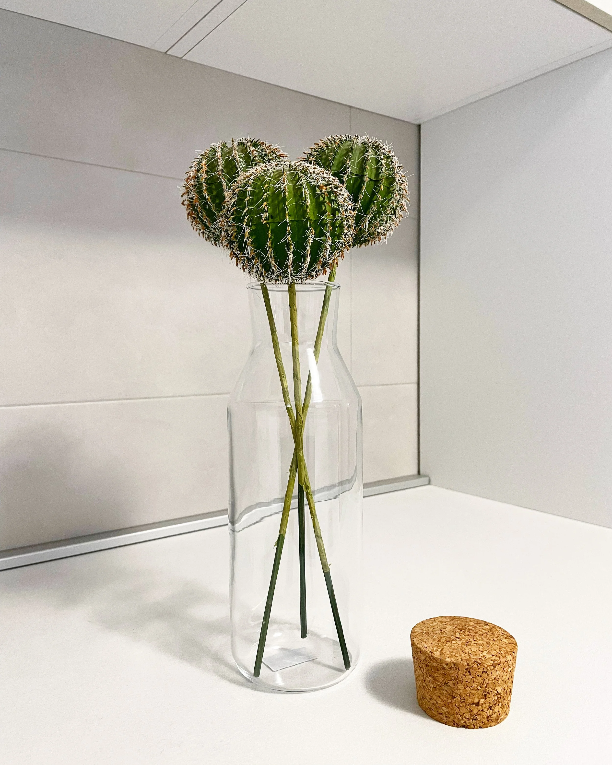 Cactus in un vaso trasparente con tappo di sughero su uno sfondo chiaro.