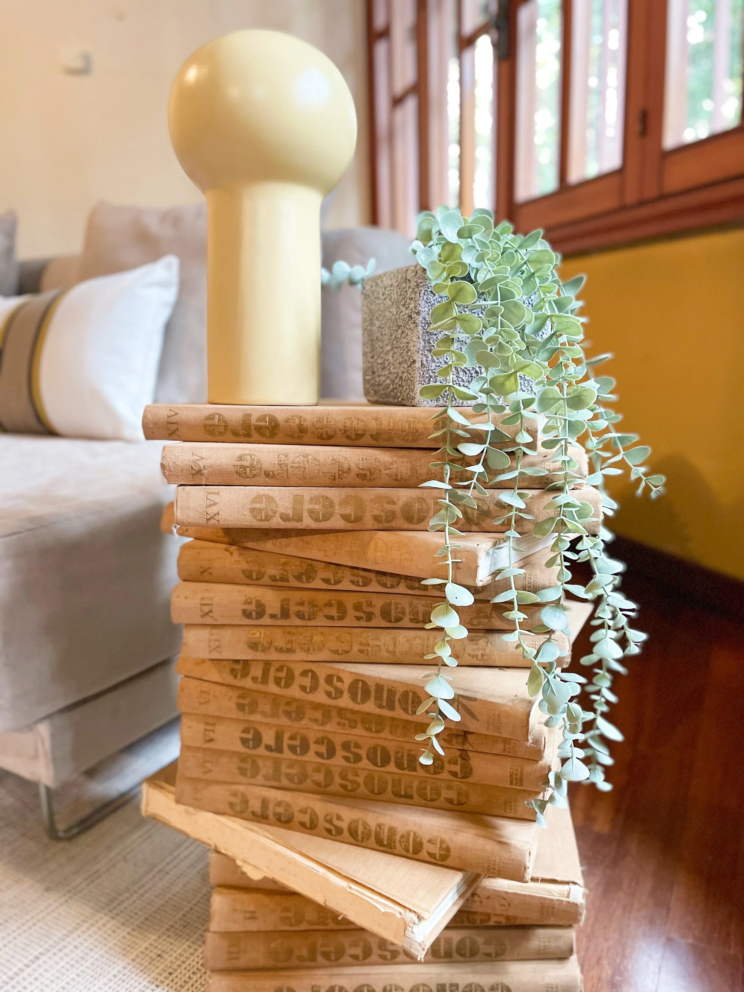 Una pila di libri rilegati in marrone usati come base per un vaso giallo e una piccola pianta verde pendente, con uno sfondo di salotto con divano beige.