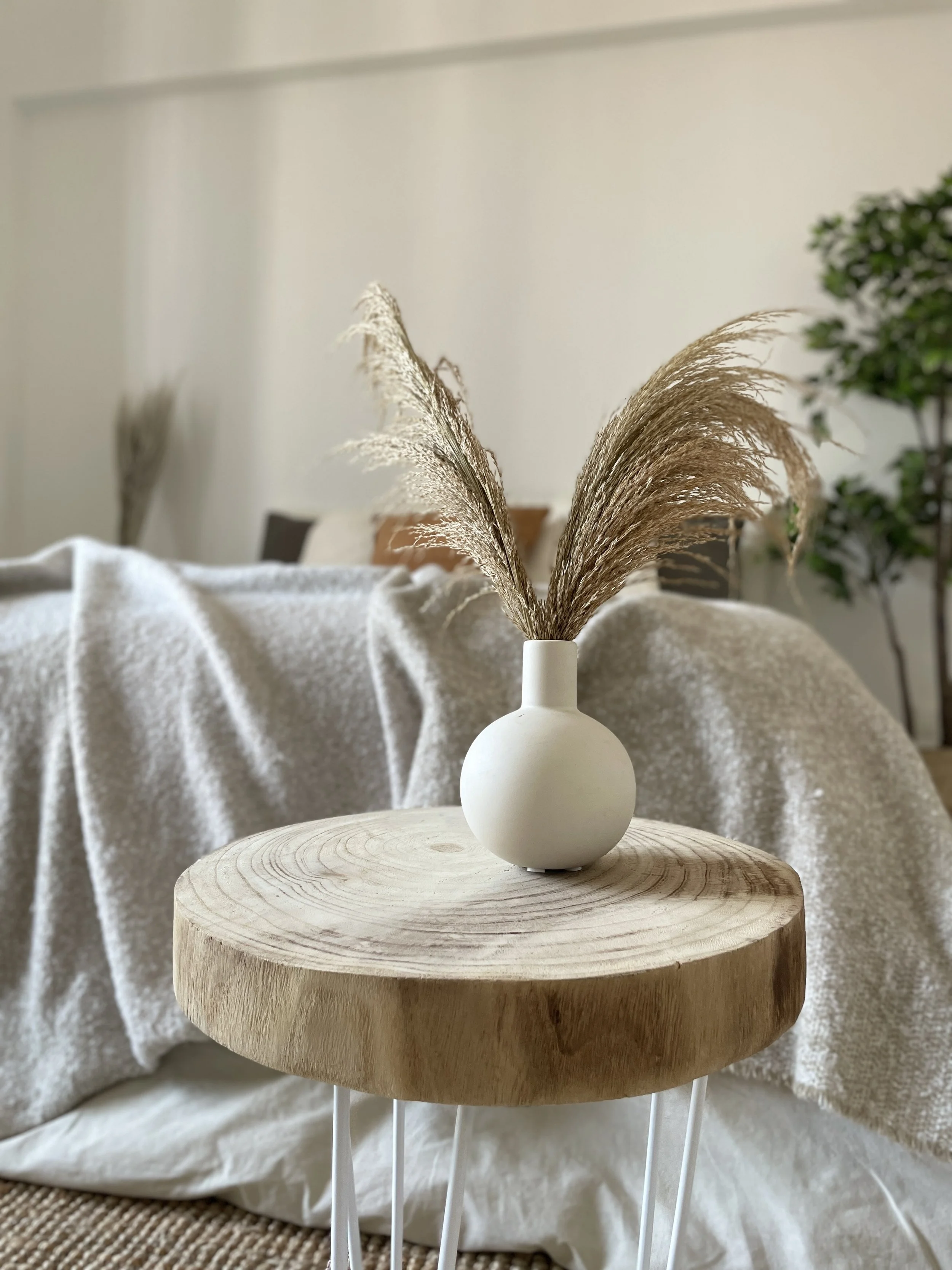 Tavolino rotondo in legno con vaso bianco decorativo e piante di pampas, ambiente minimalista con coperte e piante in vaso sullo sfondo.