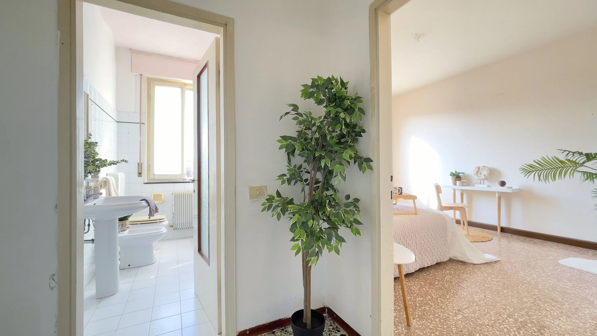 Interno di una casa con una pianta in vaso in un corridoio. A sinistra c'è un bagno con lavandino e finestra, a destra una camera da letto con letto, sedia, tavolo e decorazioni.