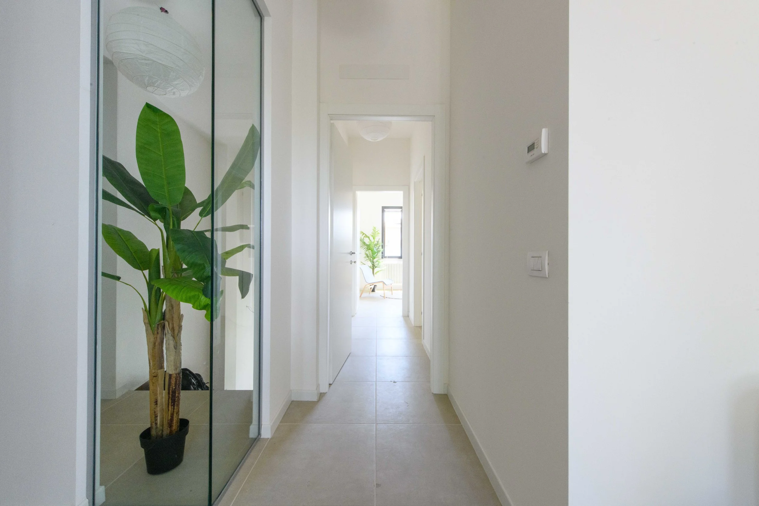 Corridoio moderno con pianta verde in vaso e porta aperta, pavimento in piastrelle chiare.