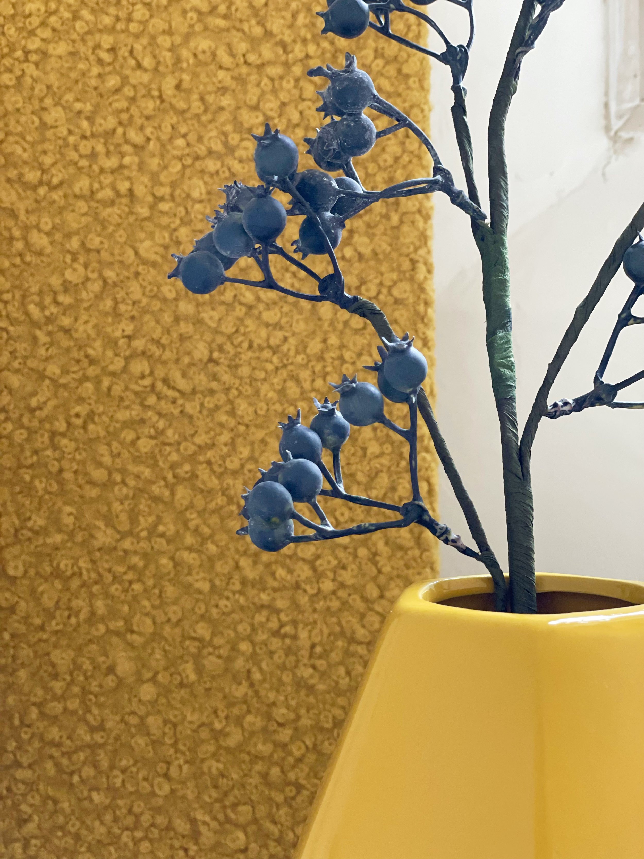 Ramo di bacche blu in un vaso giallo, sfondo giallo granuloso, finestra sulla destra.