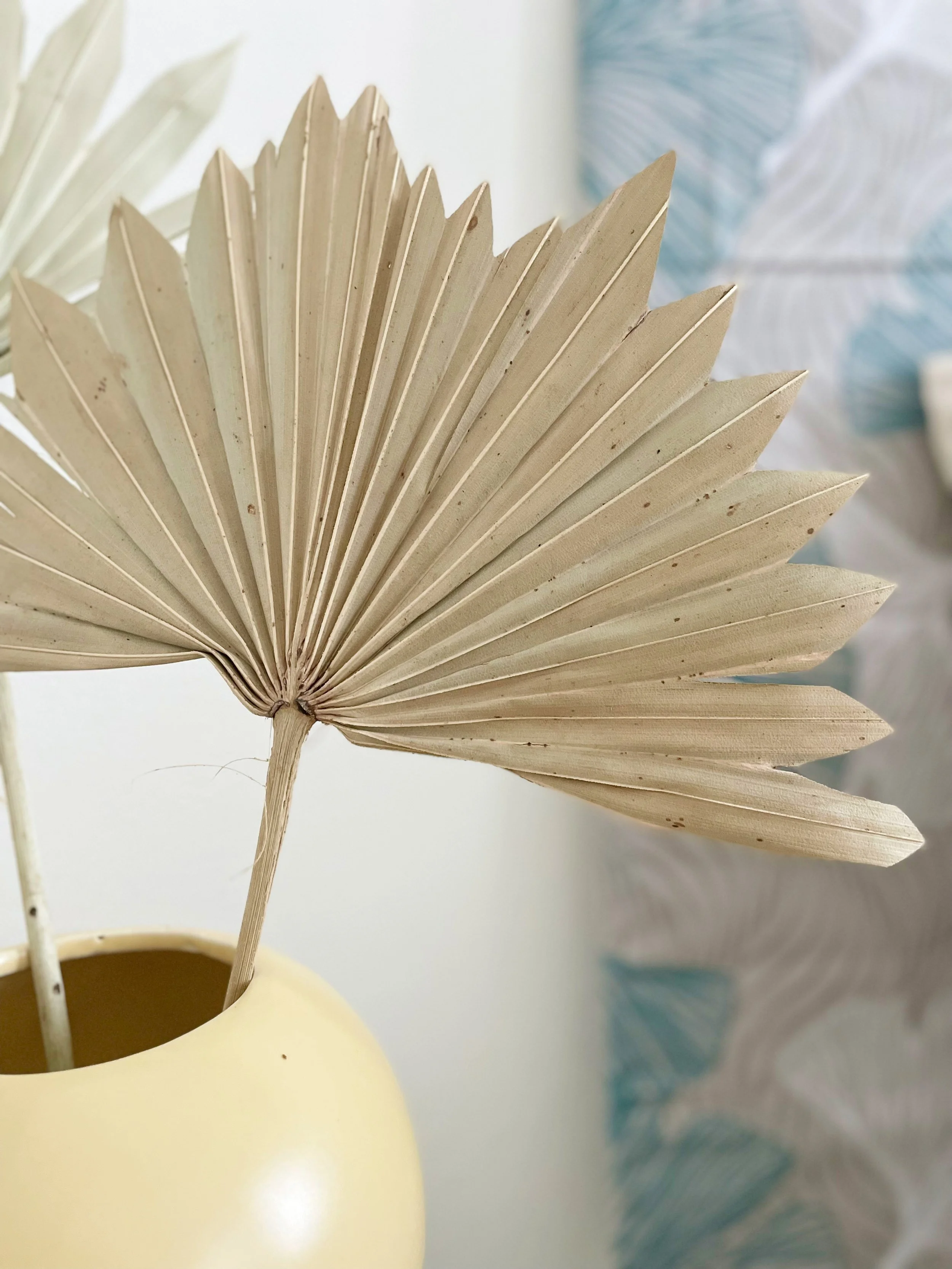 Foglia di palma essiccata in vaso beige