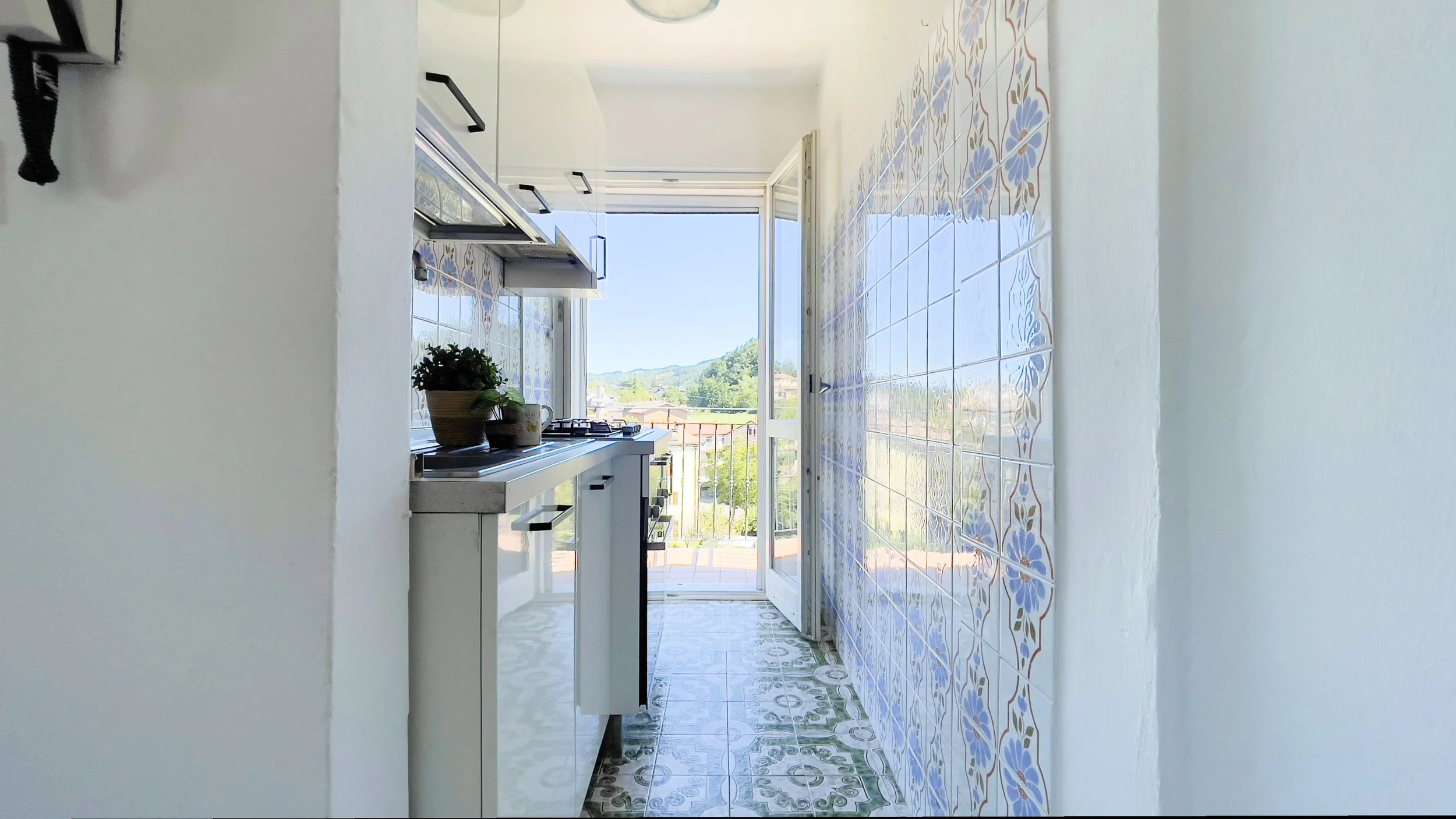 Cucina con piastrelle blu, piante sul piano di lavoro, stufa, porta aperta con vista esterna.