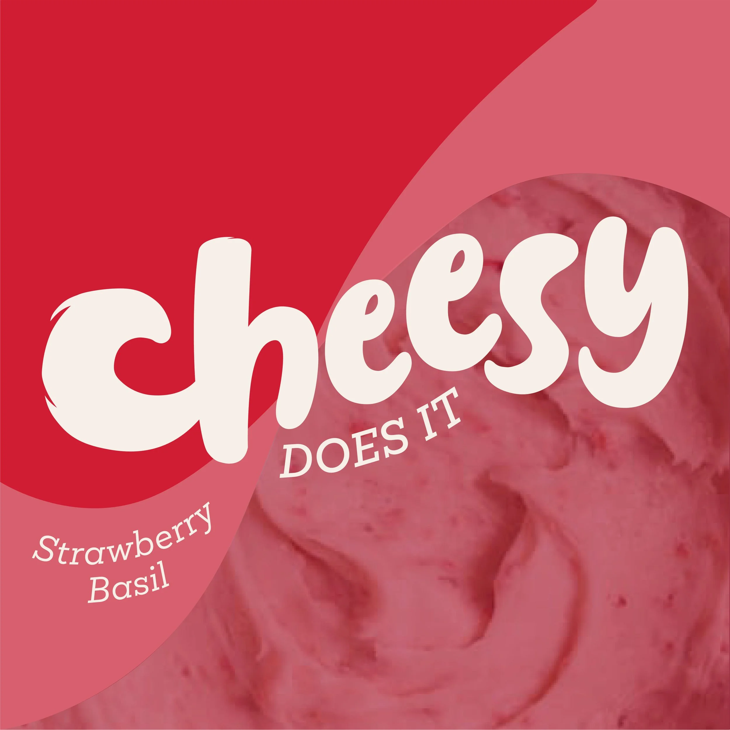 Cheesy Does It Brand Board_PRIMARY LOGO.jpg