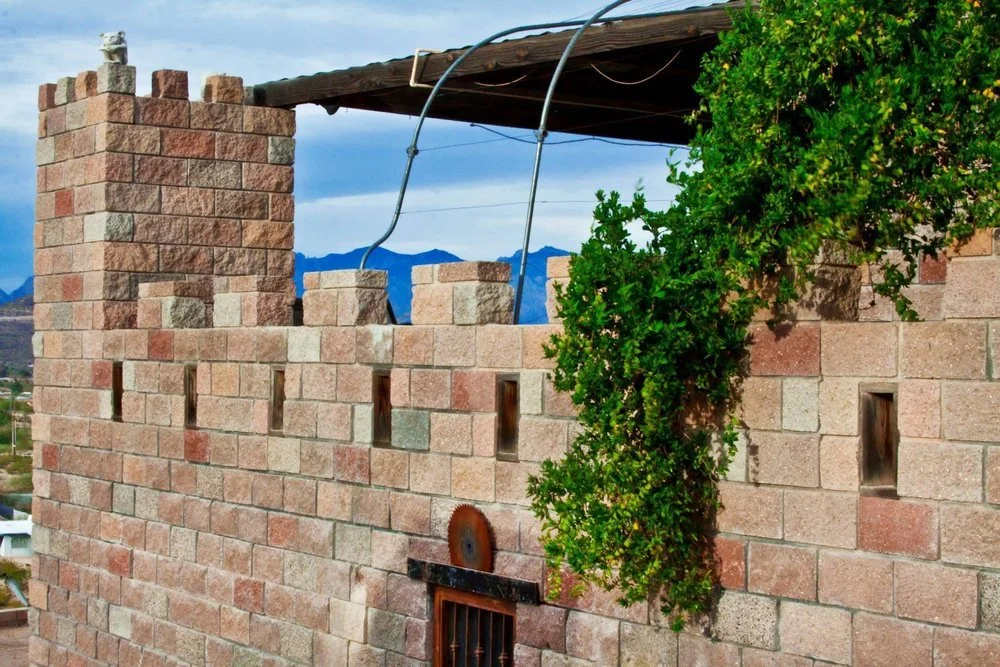 A brick wall with square openings, a saw on a metal bar, greenery growing over it, and a wooden roof structure overhead.
