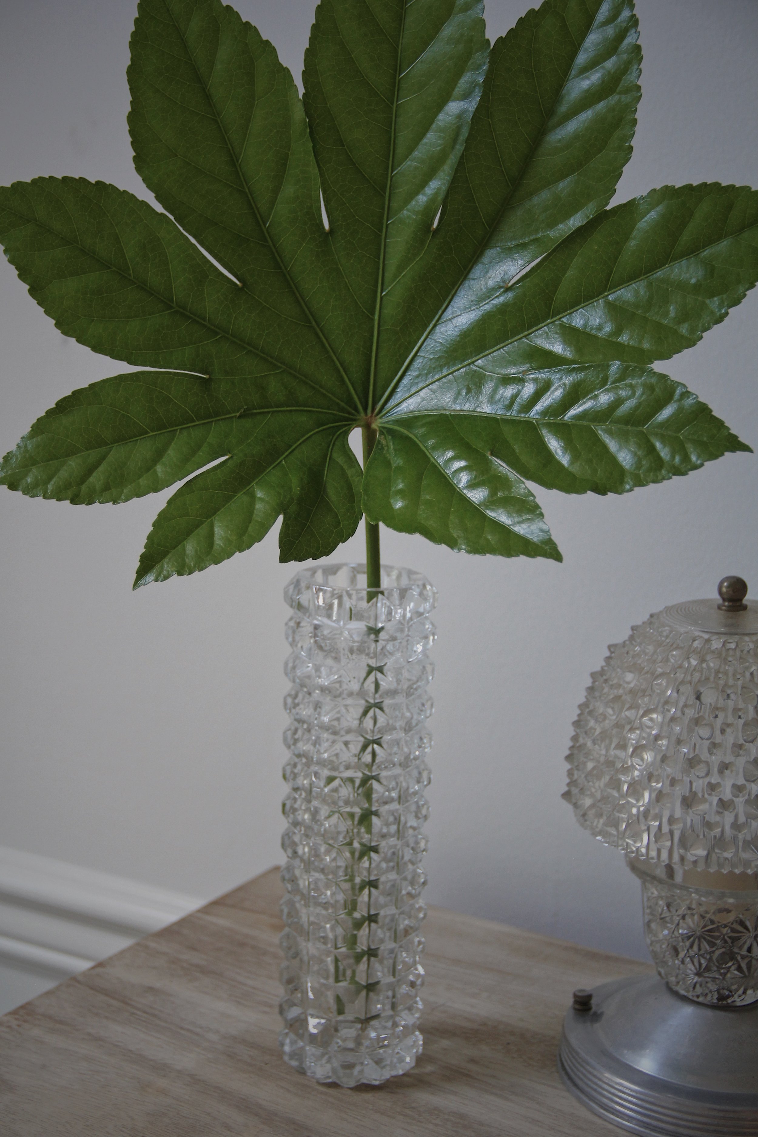 Tall Single-Stem Vase