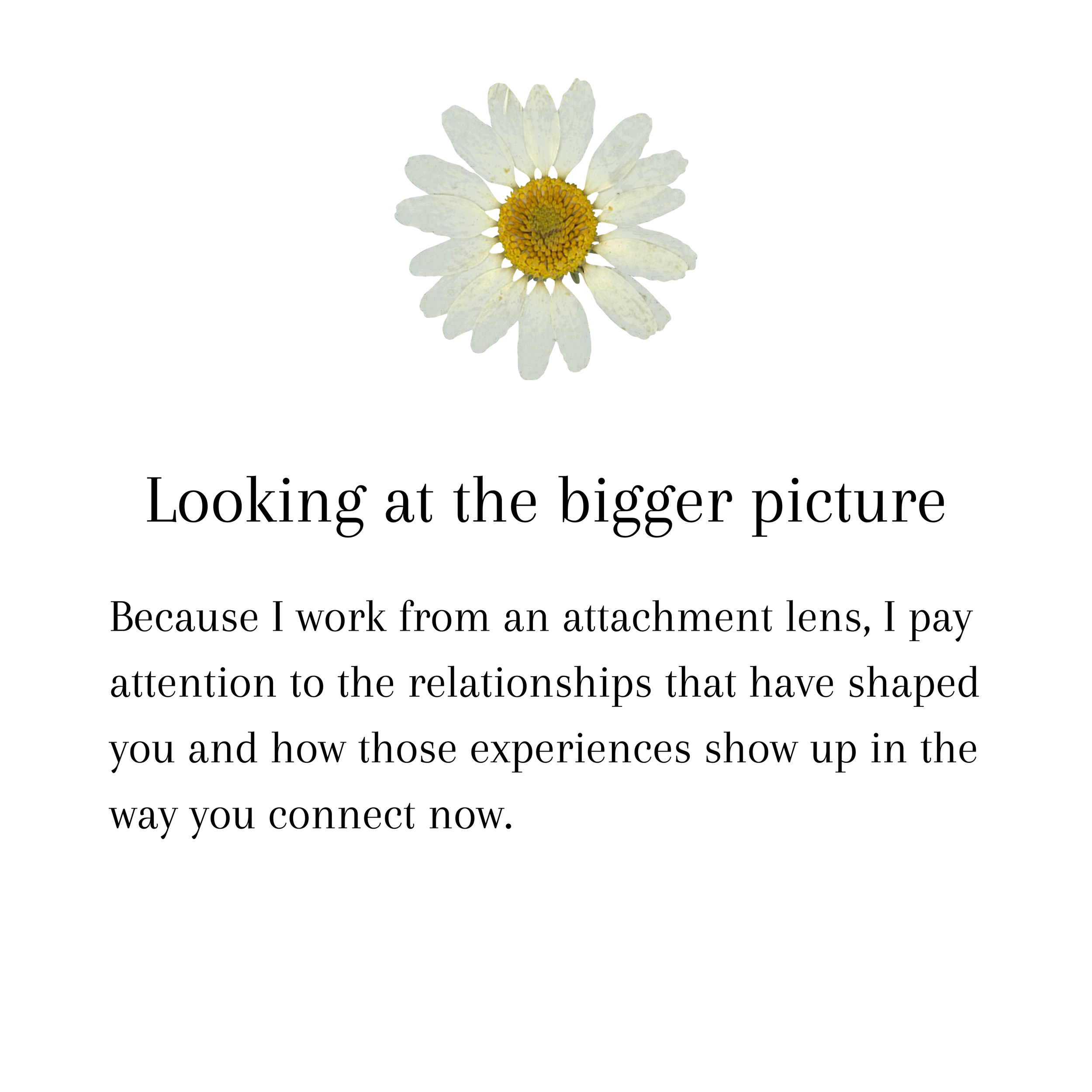 Looking at the bigger picture. Because I work from an attachment lens, I pay attention to the relationships that have shaped you and how those experiences show up in the way you connect now.