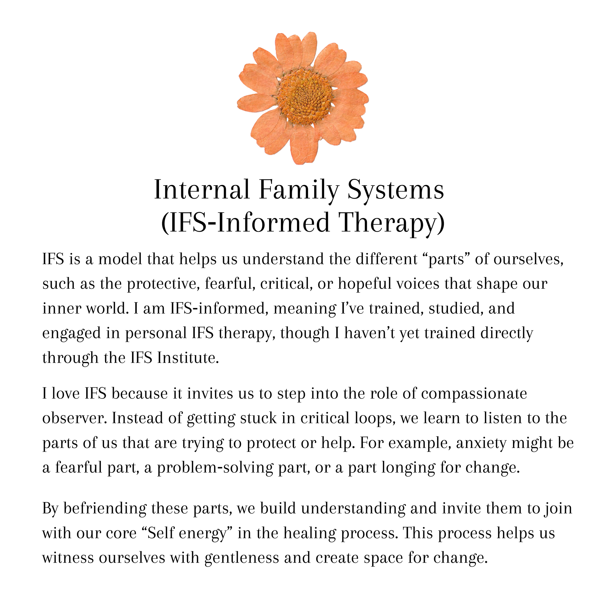 Text about Internal Family Systems (IFS‑Informed Therapy) with a flower at the top.